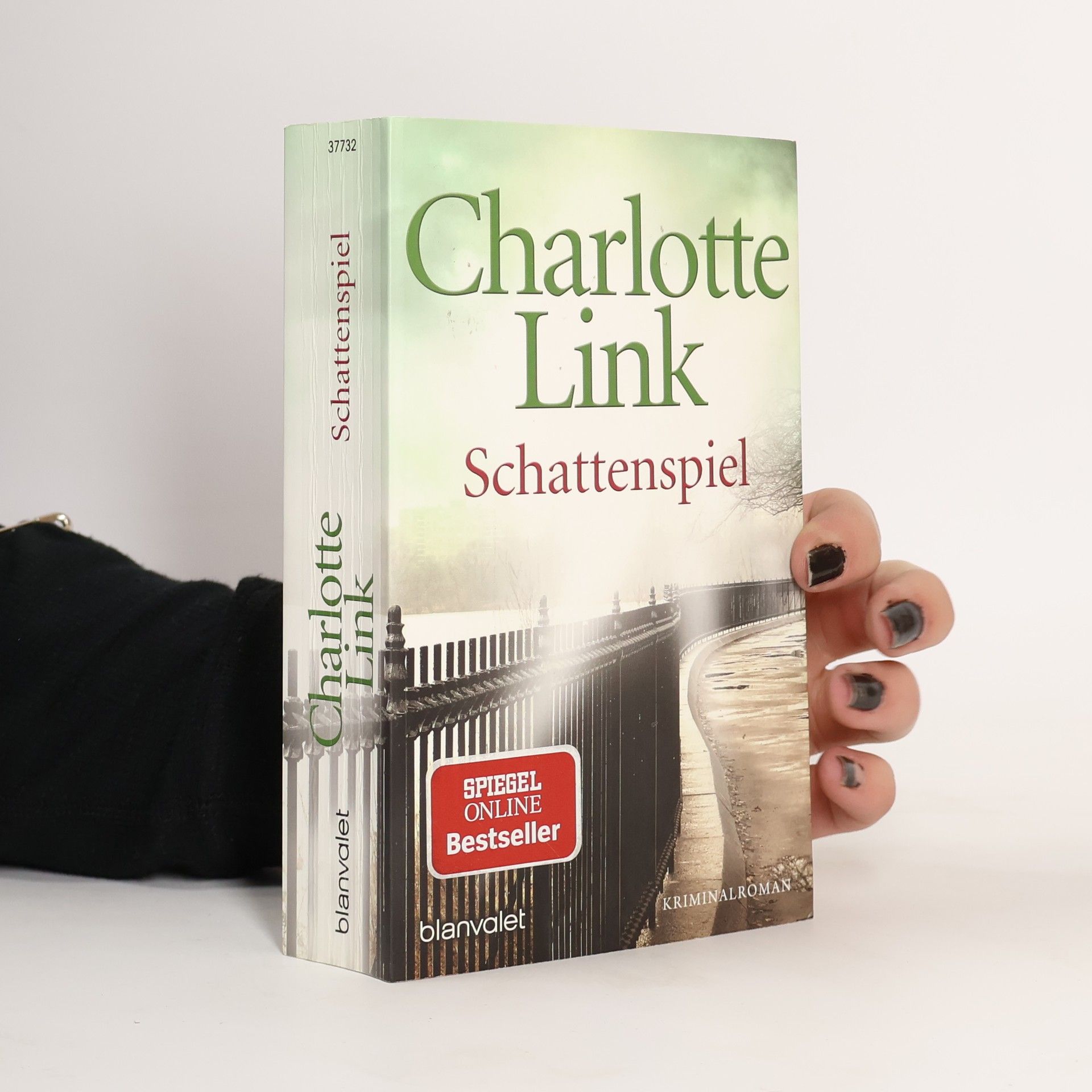 Charlotte Link Schattenspiel