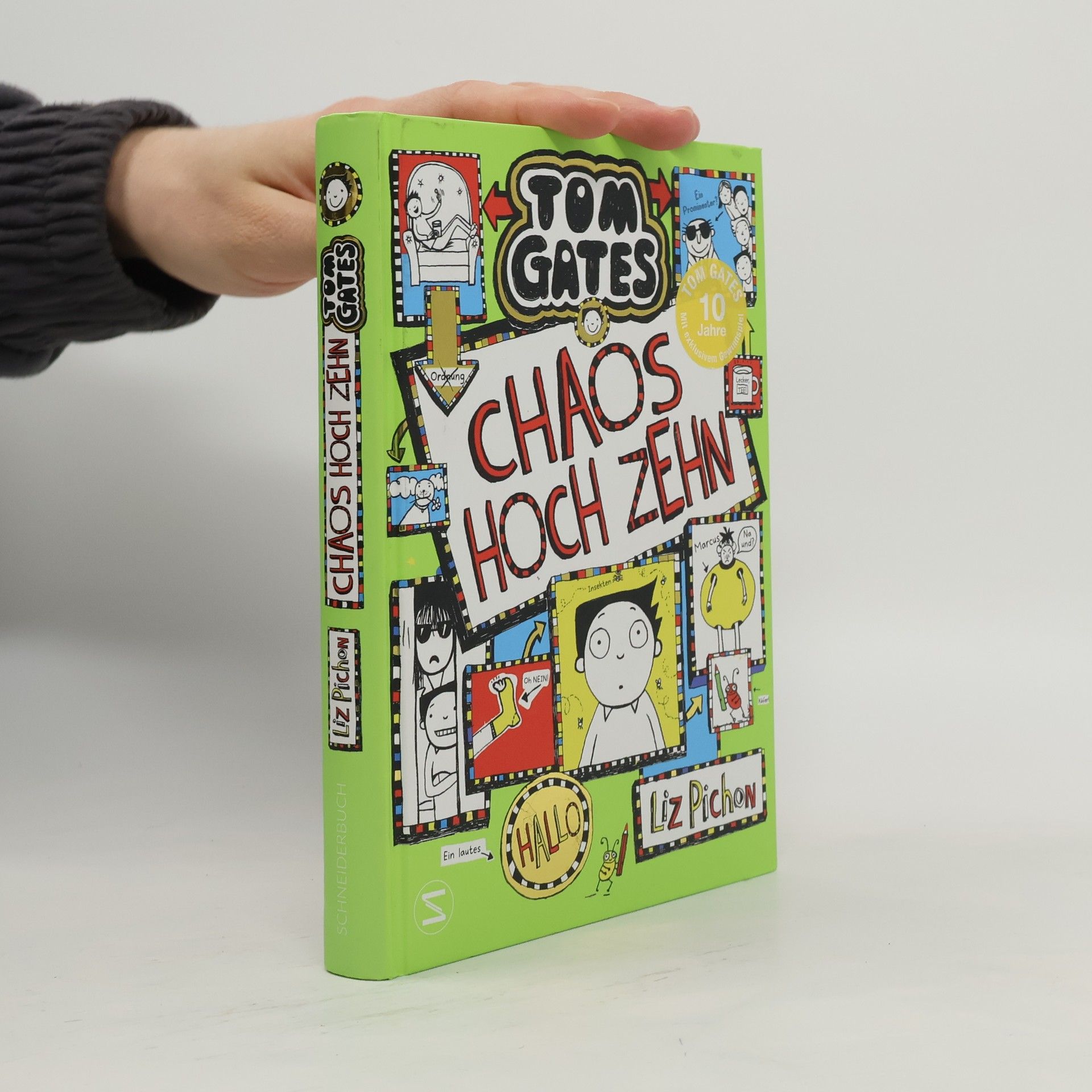 Liz Pichon Chaos hoch zehn