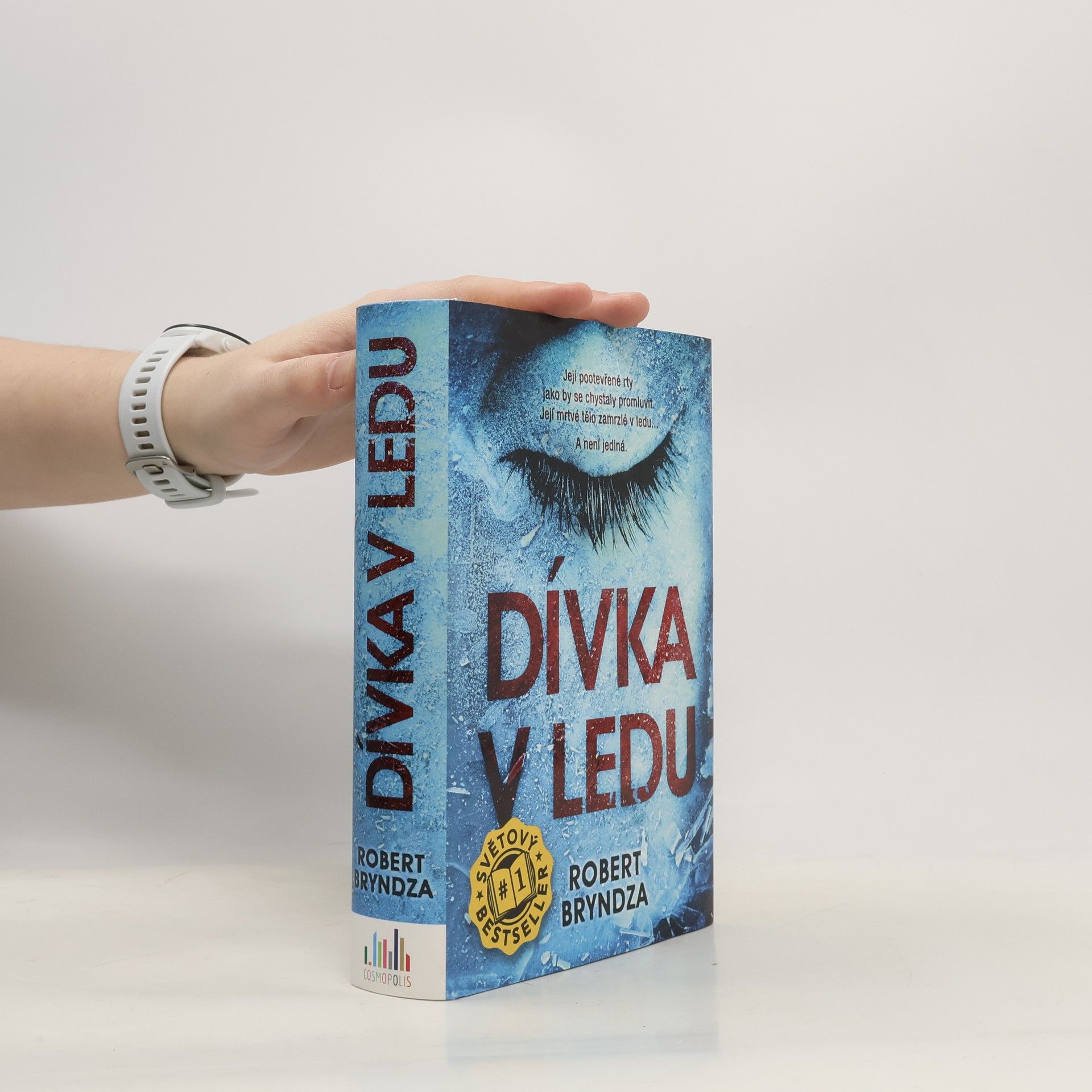 Robert Bryndza Dívka v ledu