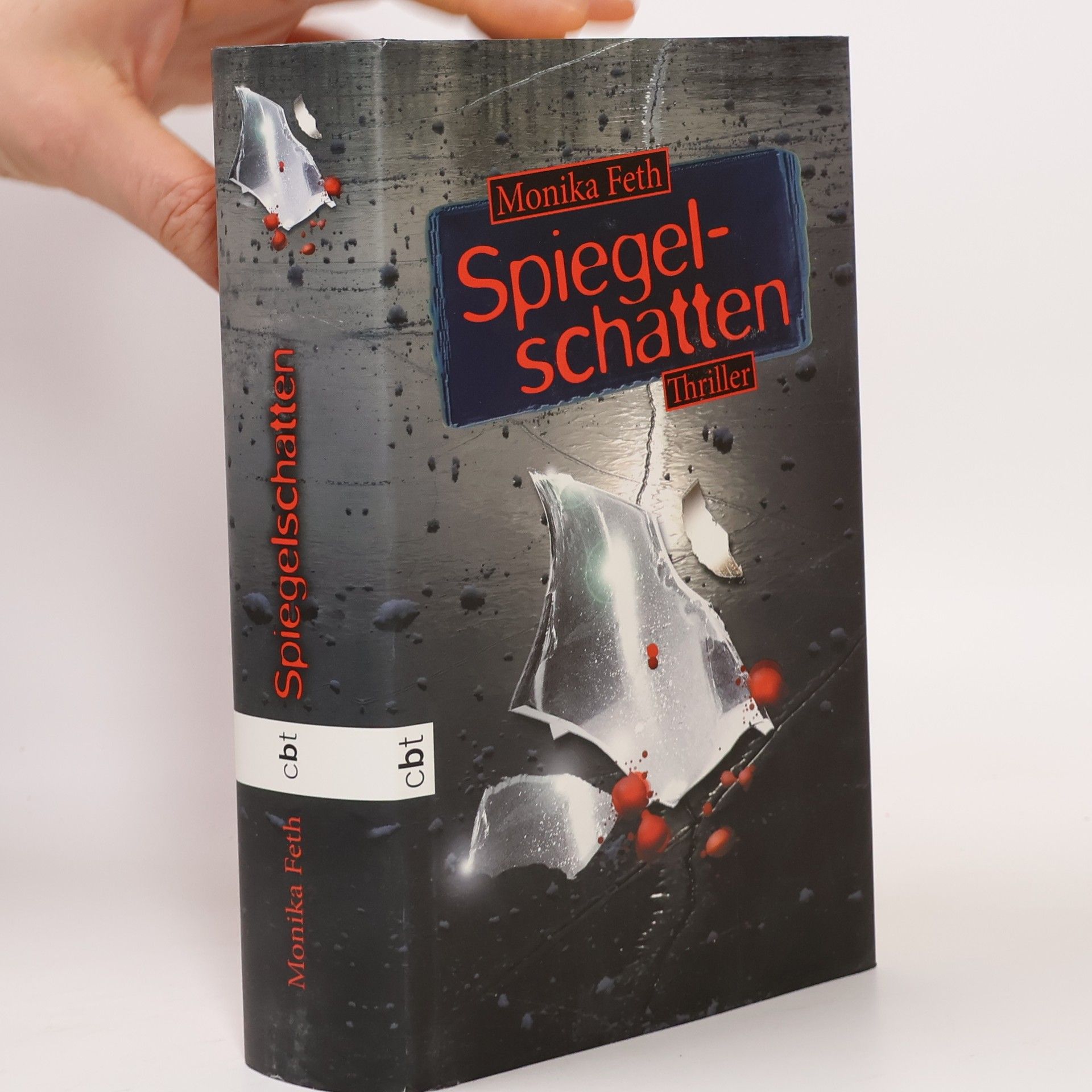 Monika Feth Spiegelschatten