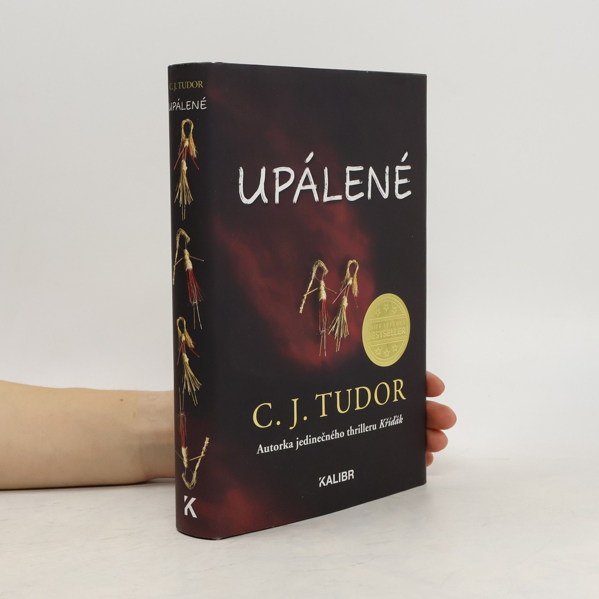 C. J. Tudor Upálené