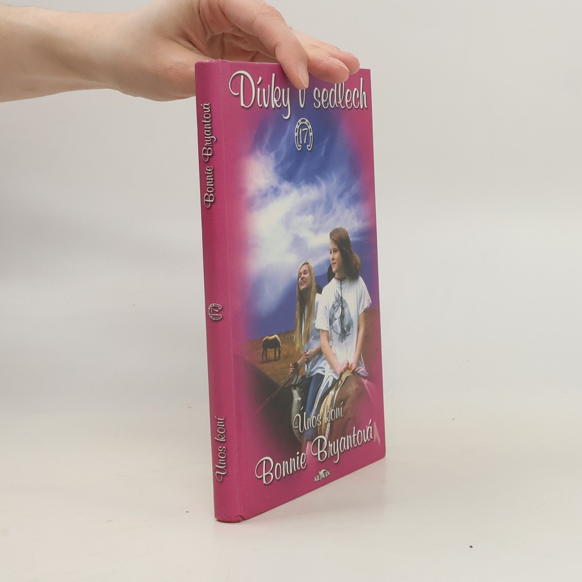 Bonnie Bryant Dívky v sedlech. 17, Únos koní