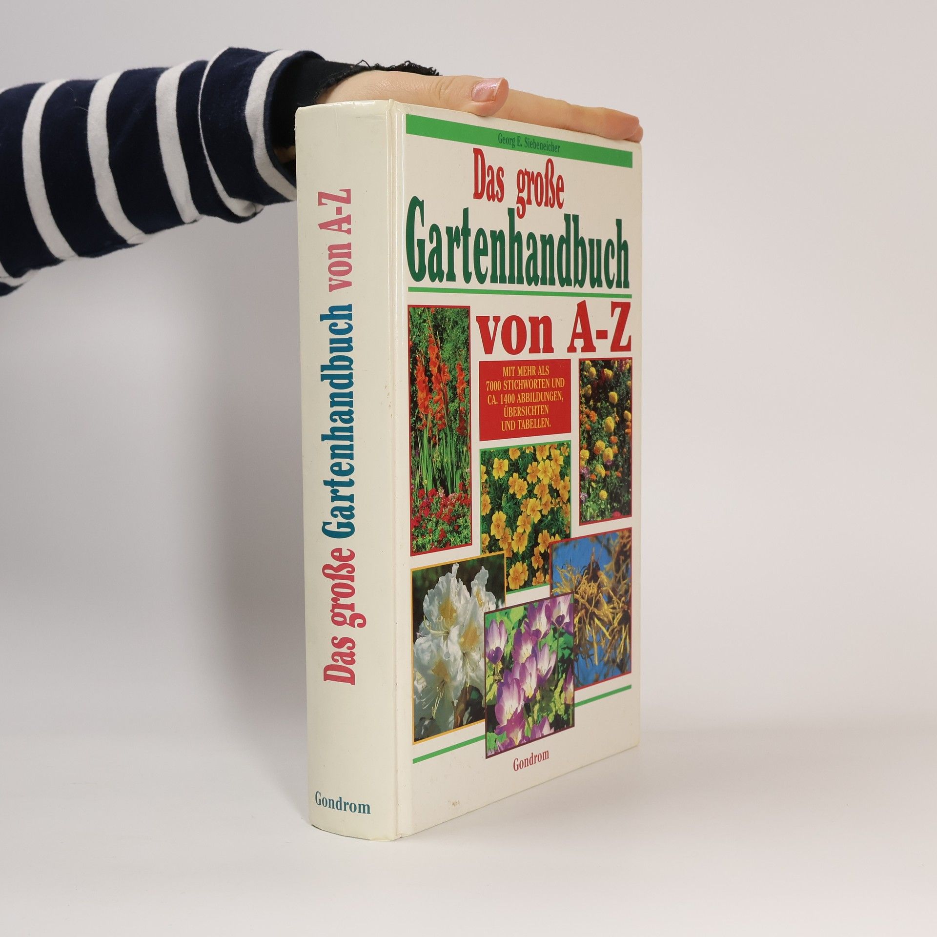 Jutta Debor-Sockel Das große Gartenhandbuch von A - Z