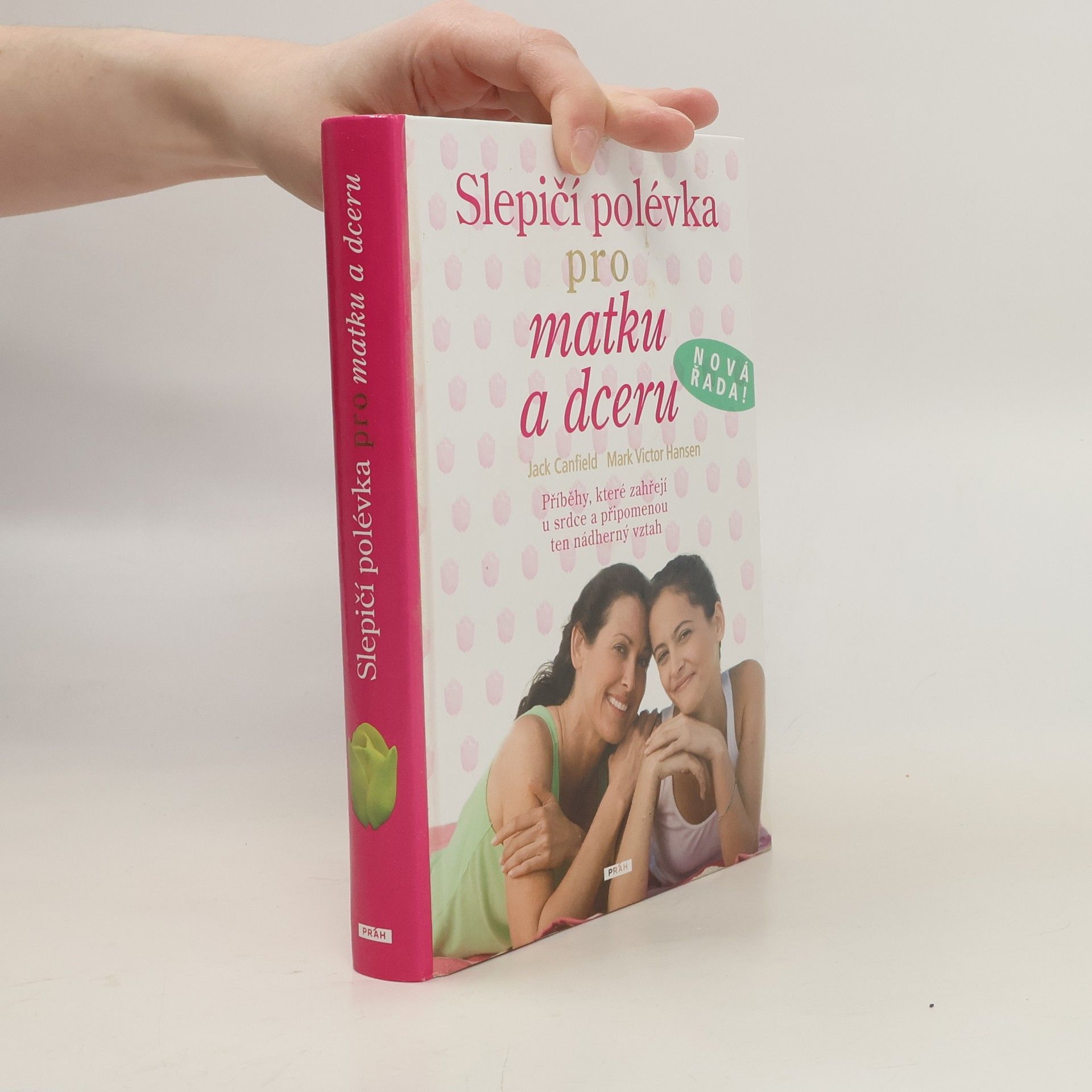 Jack Canfield Slepičí polévka pro matku a dceru