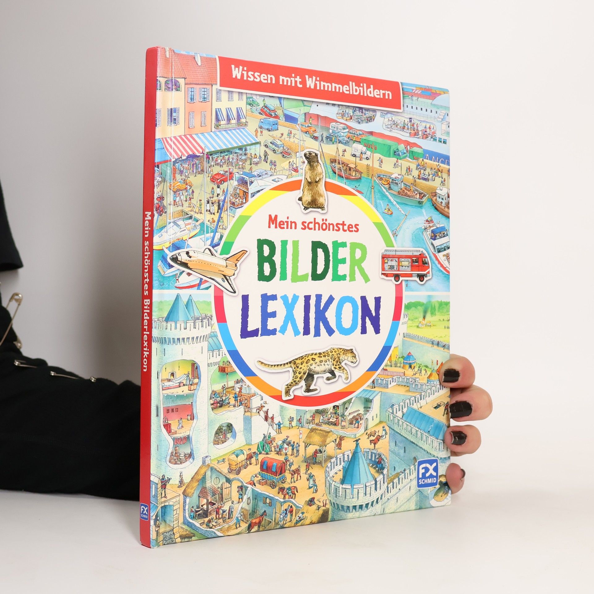 Autorenkollektiv Mein schönstes Bilderlexikon