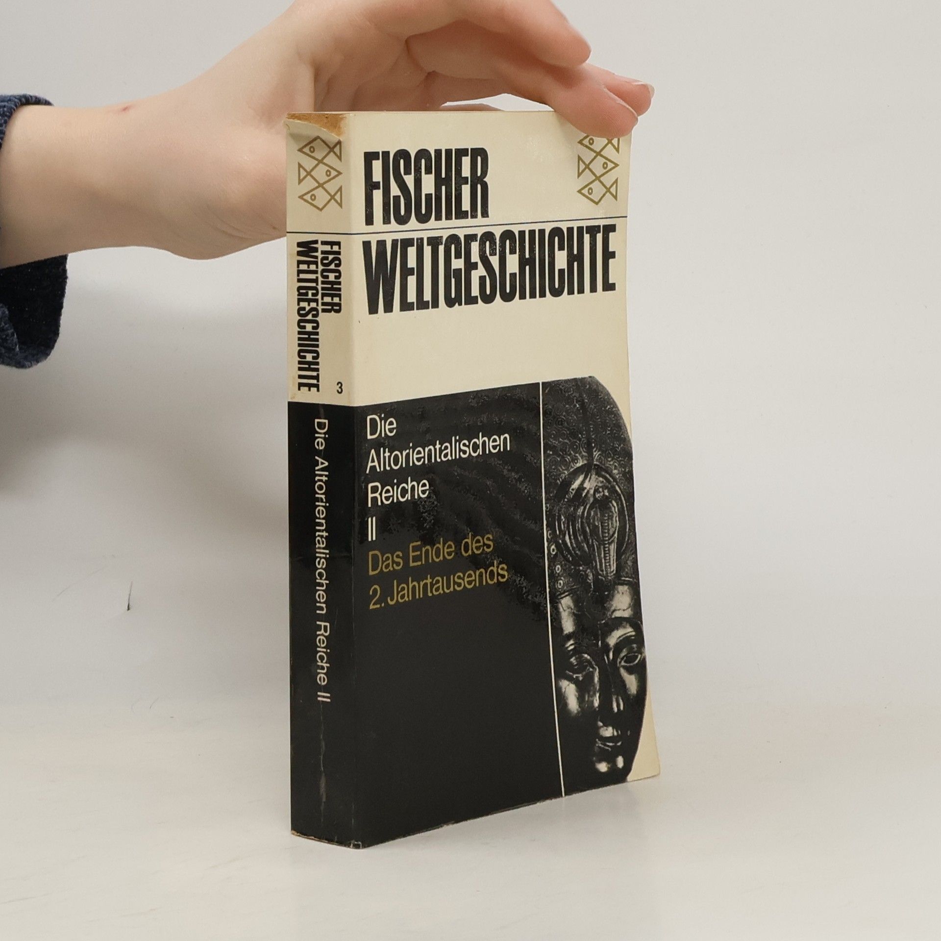 Die Altorientalischen Reiche II. Das Ende des 2. Jahrtausends