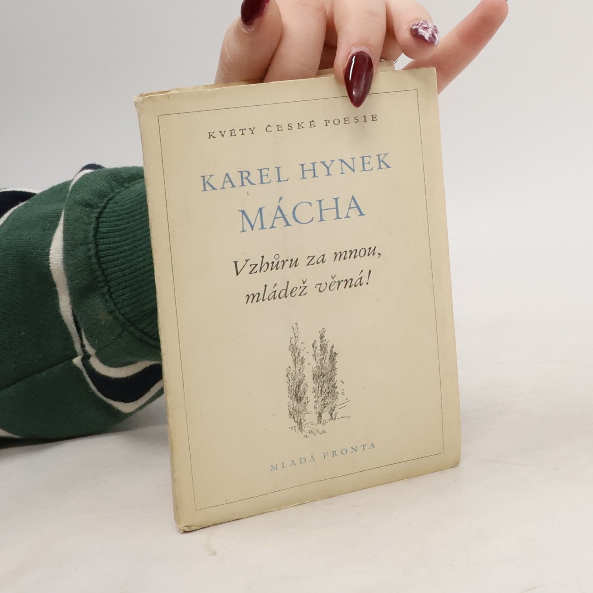 Karel Hynek Mácha Vzhůru za mnou, mládež věrná!