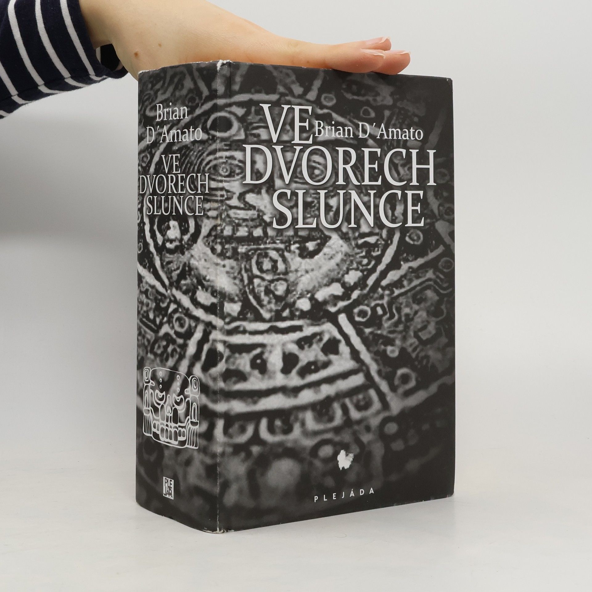 Brian D. Amato Ve dvorech slunce