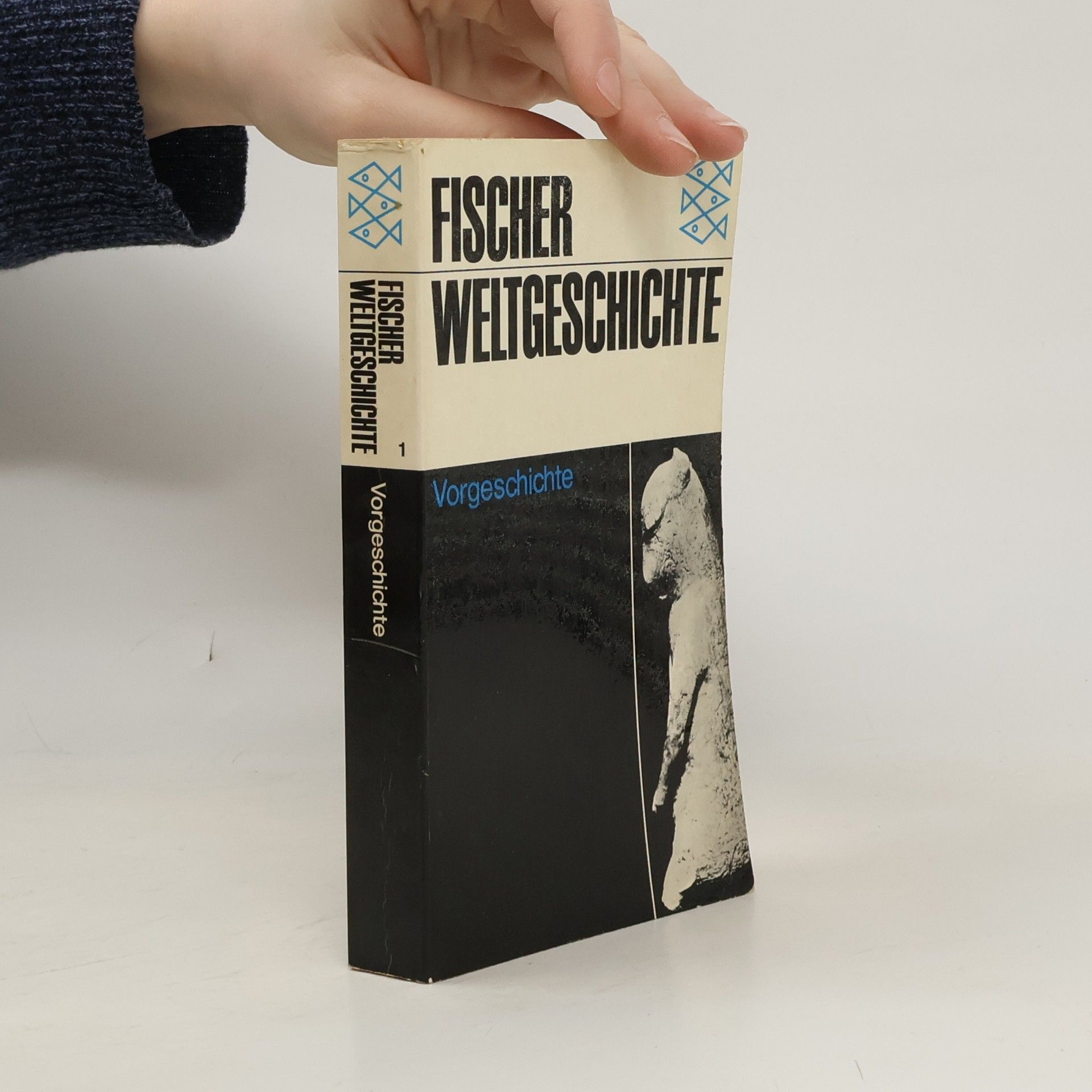 Autores varios Vorgeschichte