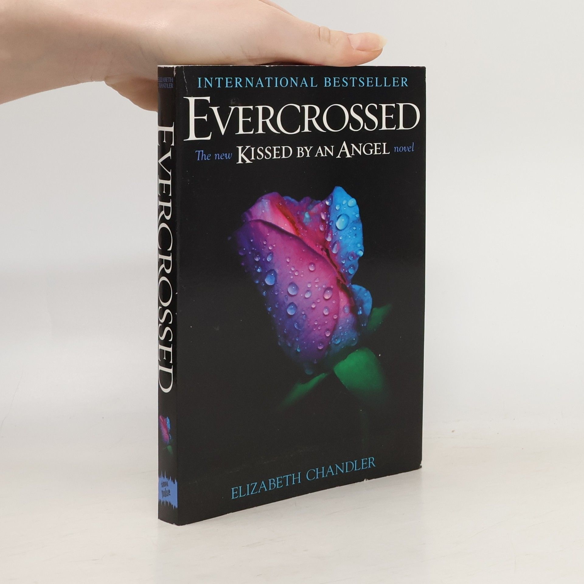 Elisabeth Chandler Evercrossed