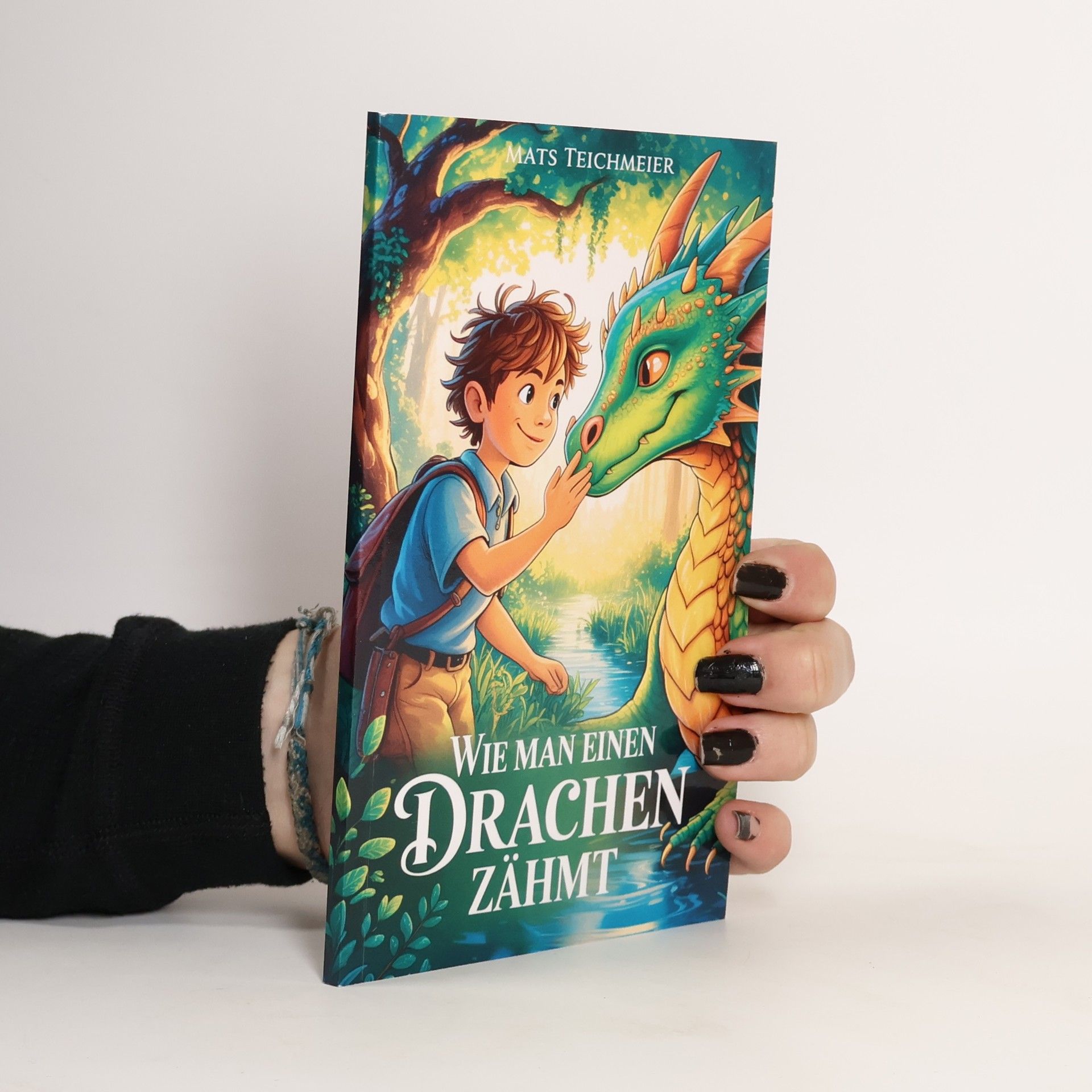 Mats Teichmeier Wie man einen Drachen zähmt