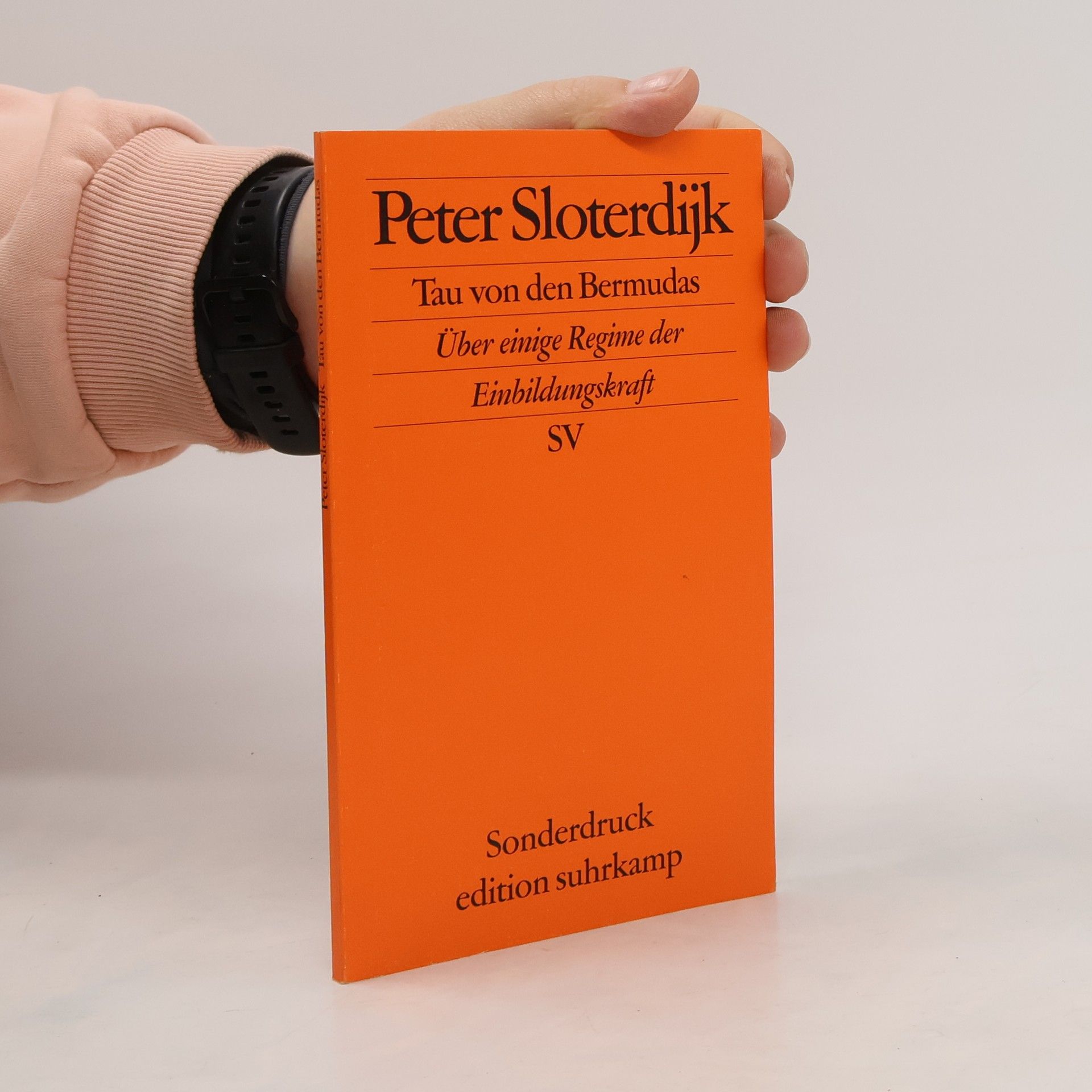 Peter Sloterdijk Tau von den Bermudas