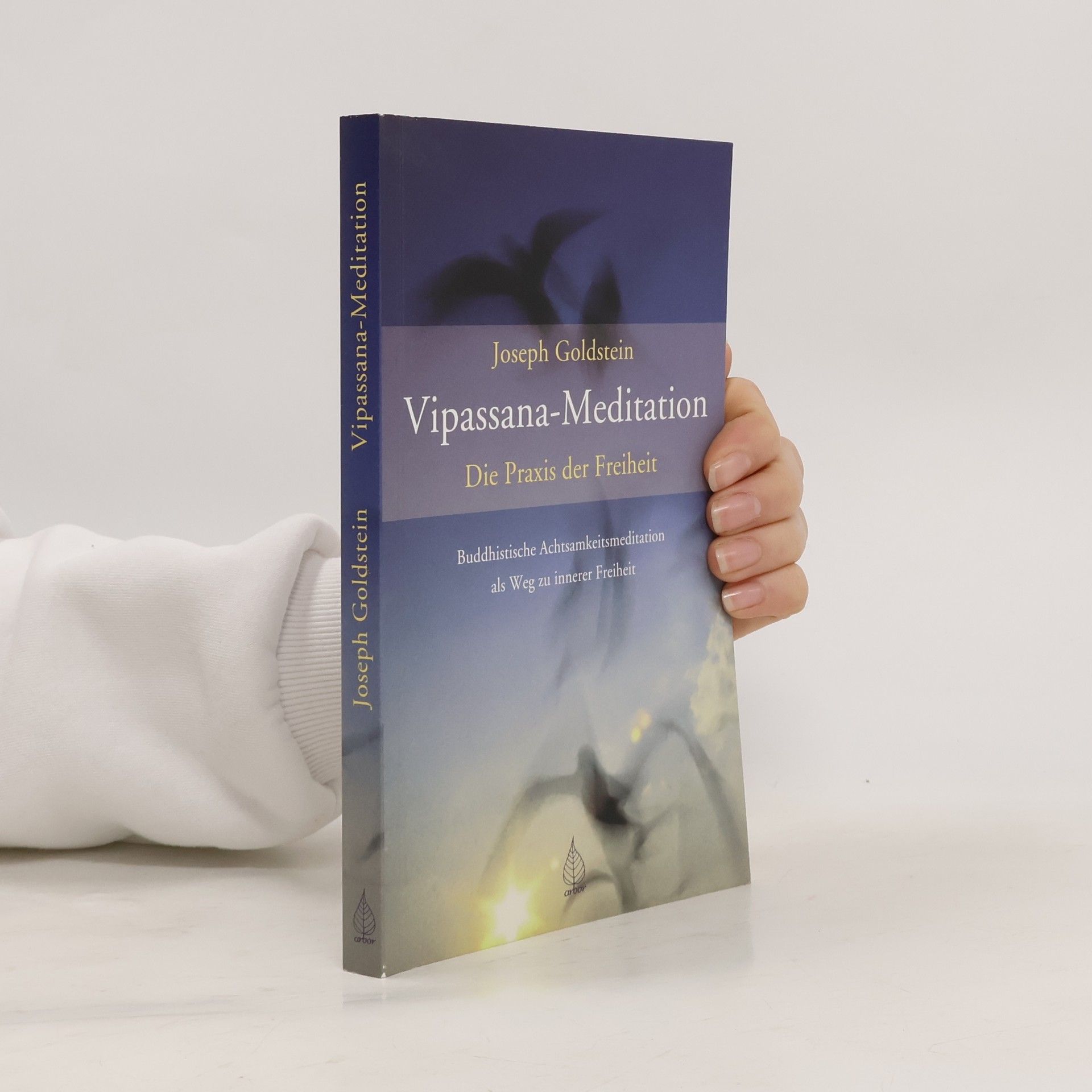 Joseph Goldstein Vipassana-Meditation