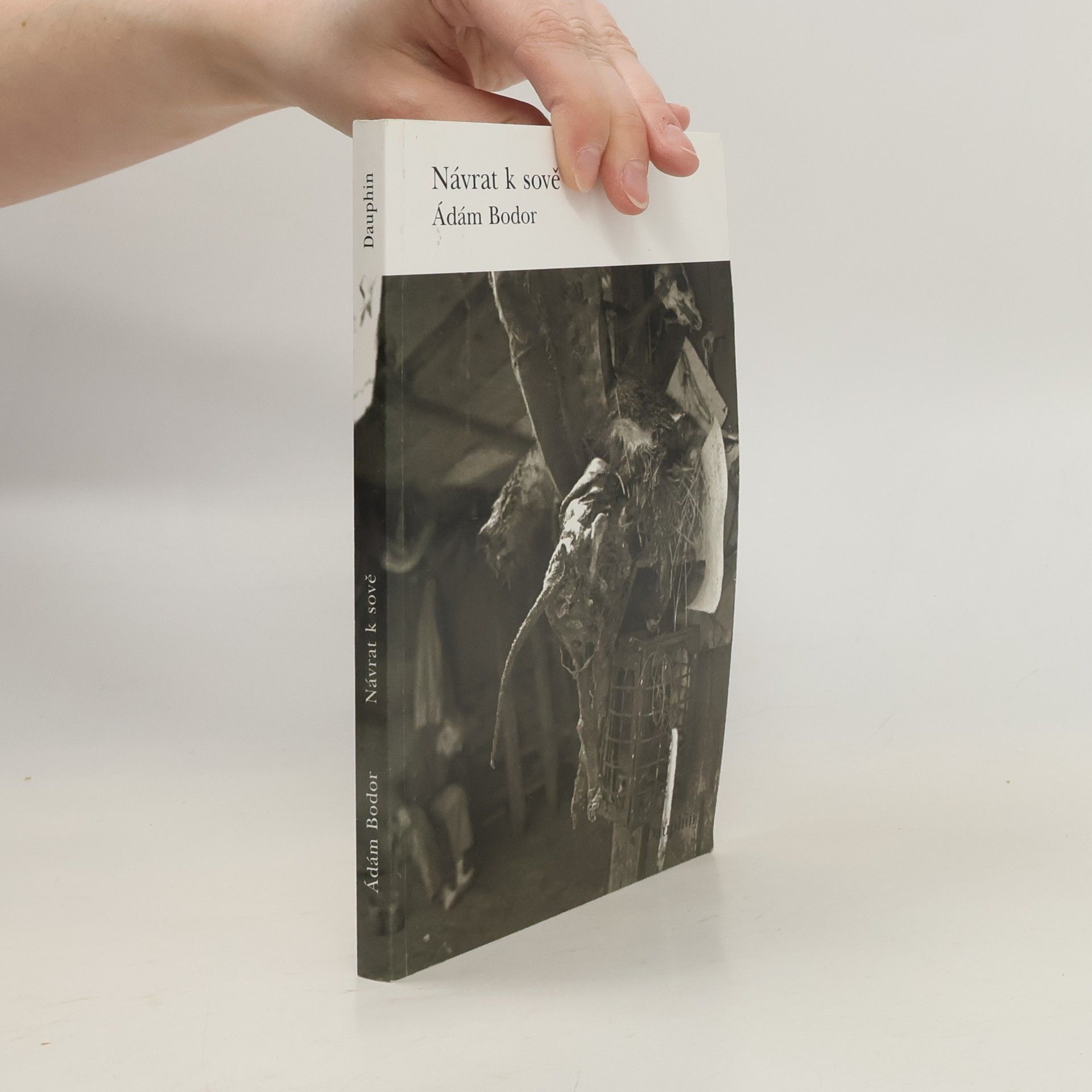 Ádám Bodor Návrat k sově