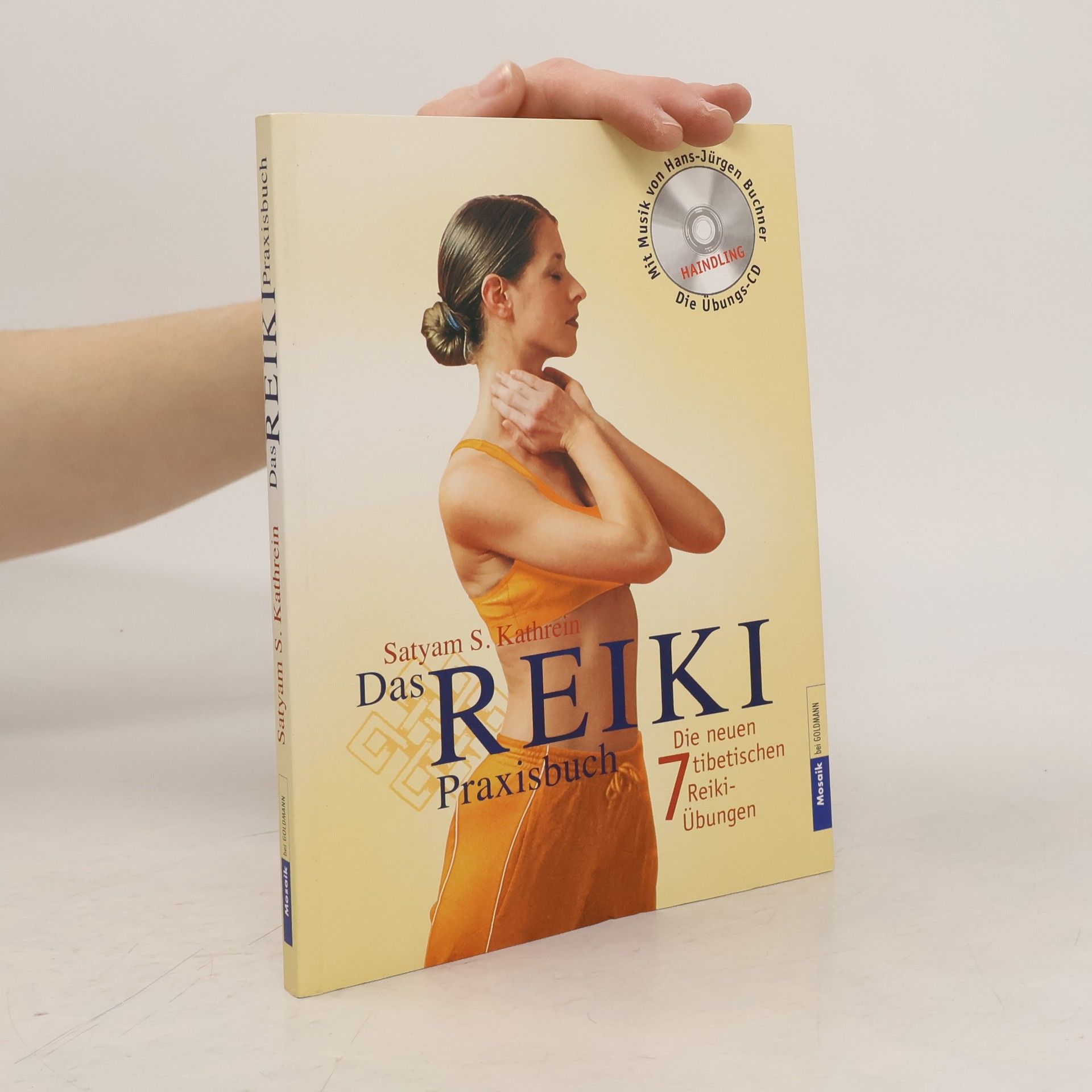 Das Reiki-Praxisbuch