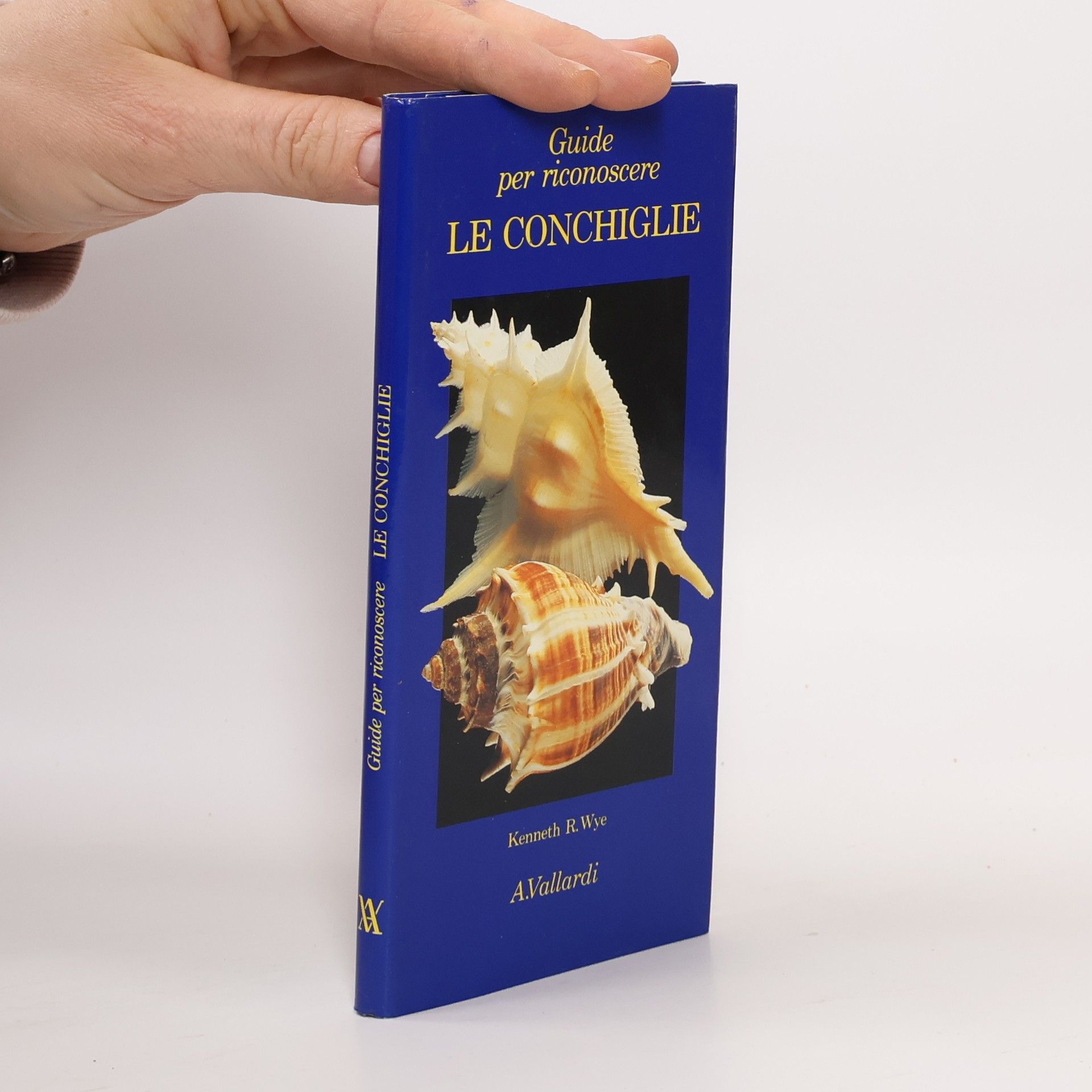 Kenneth R. Wye Le conchiglie