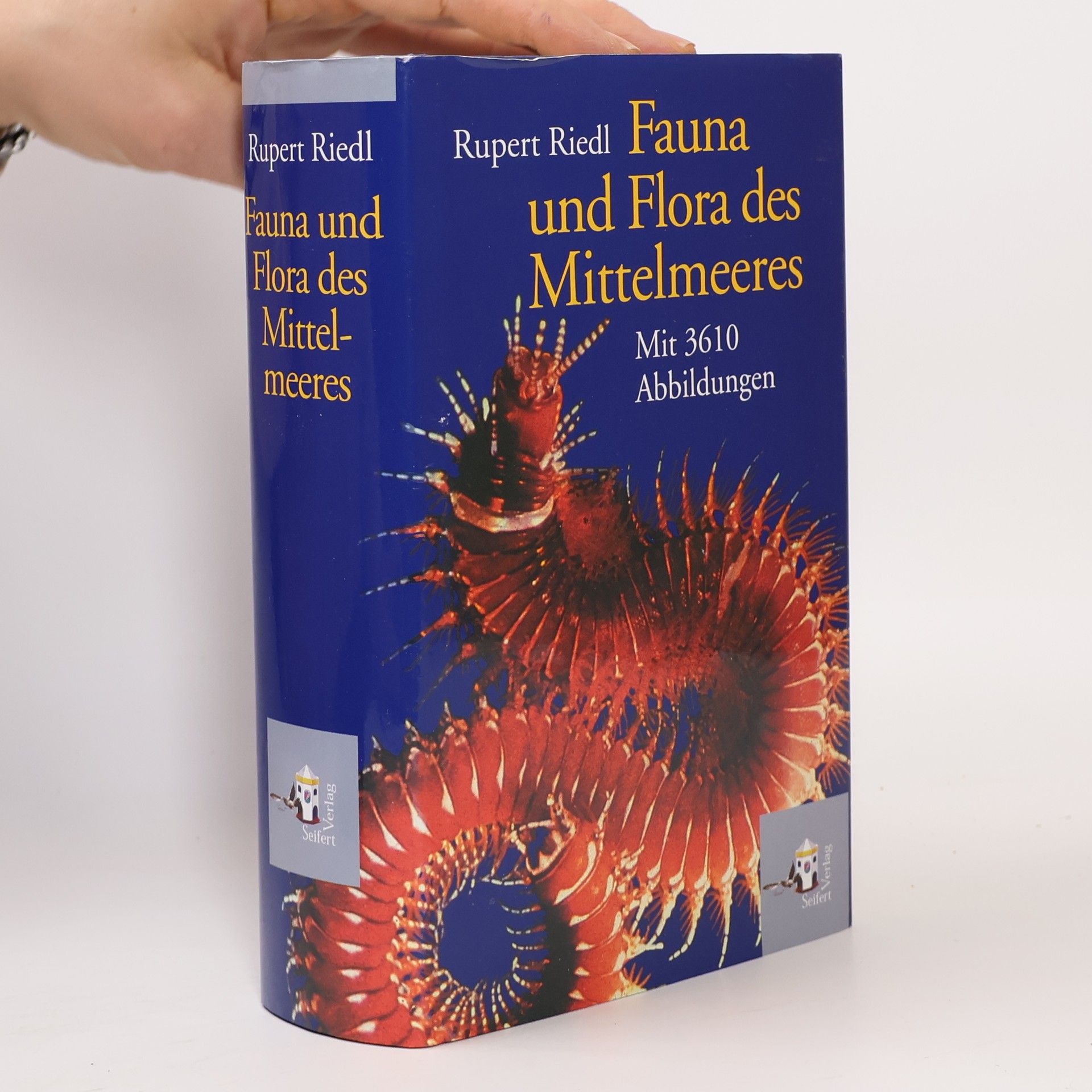 Rupert Riedl Fauna und Flora des Mittelmeeres