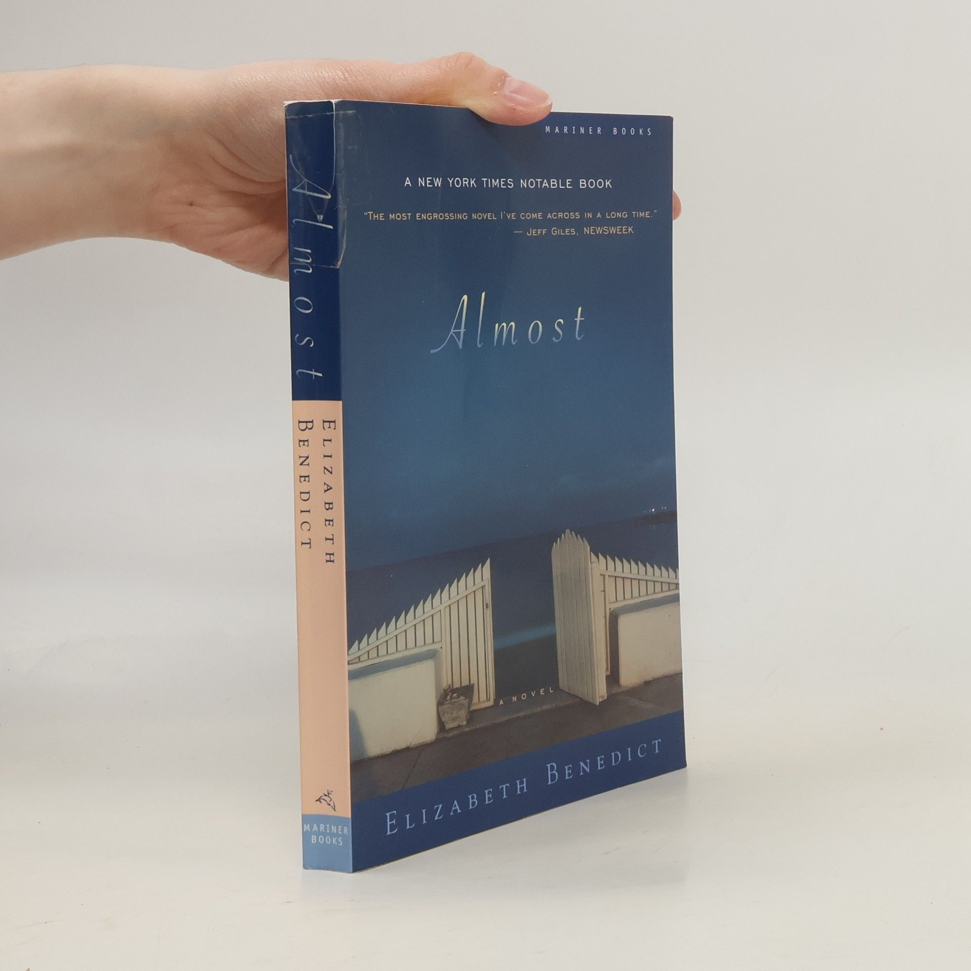 Elizabeth Benedict Almost