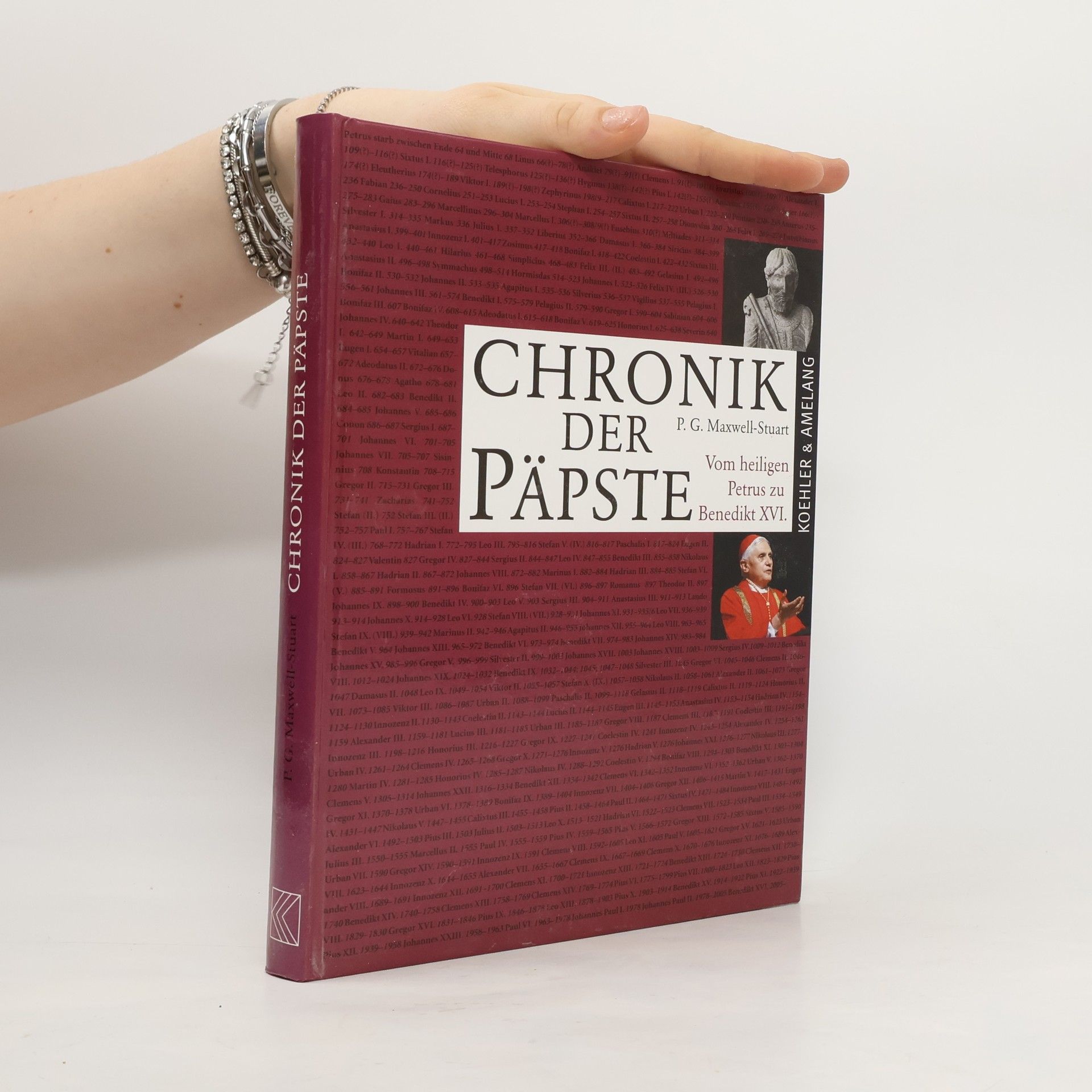 P. G. Maxwell-Stuart Chronik der Päpste