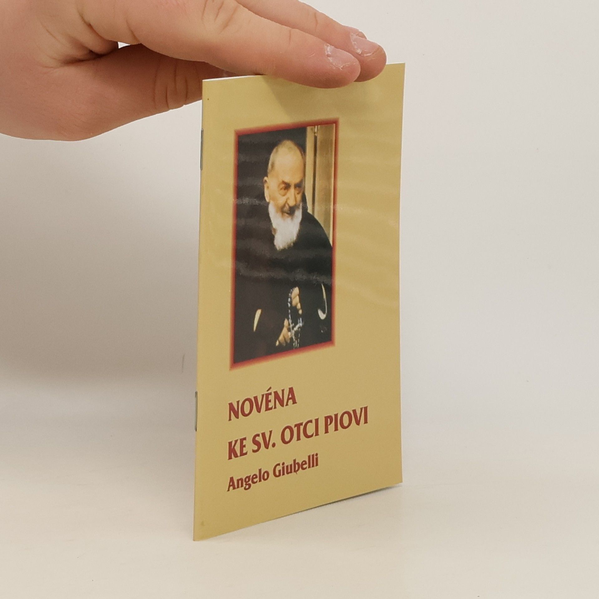Angelo Giubelli Novéna ke sv. otci Piovi
