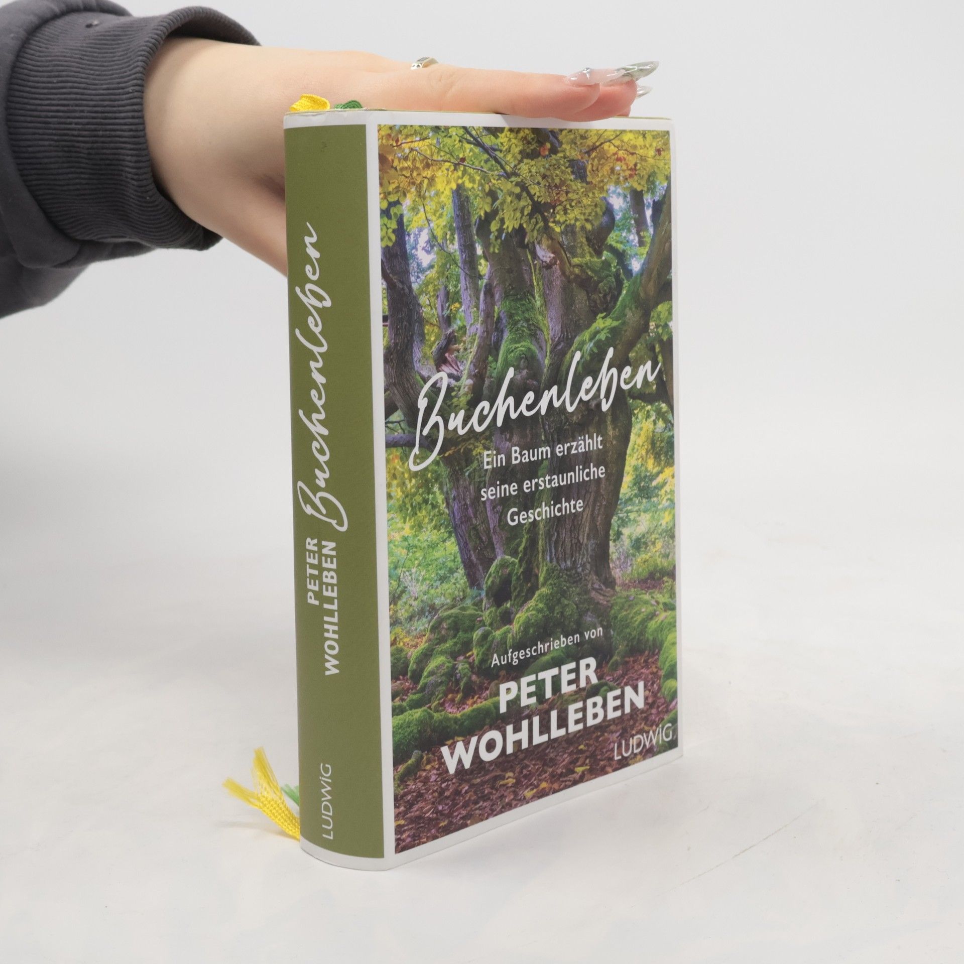 Peter Wohlleben Buchenleben. Ein Baum erzählt seine erstaunliche Geschichte