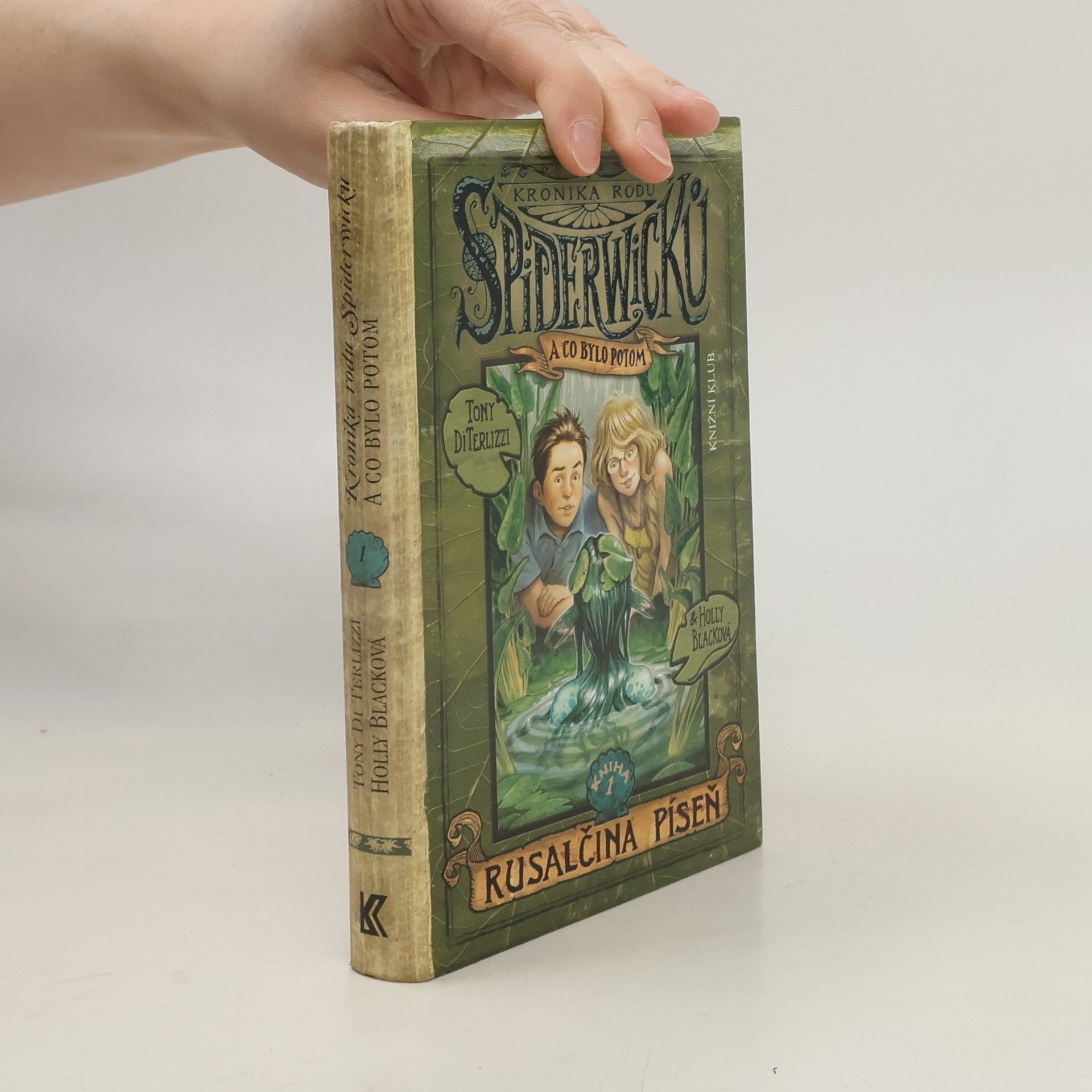 Tony Di Terlizzi Kronika rodu Spiderwicků a co bylo potom. Kniha 1, Rusalčina píseň