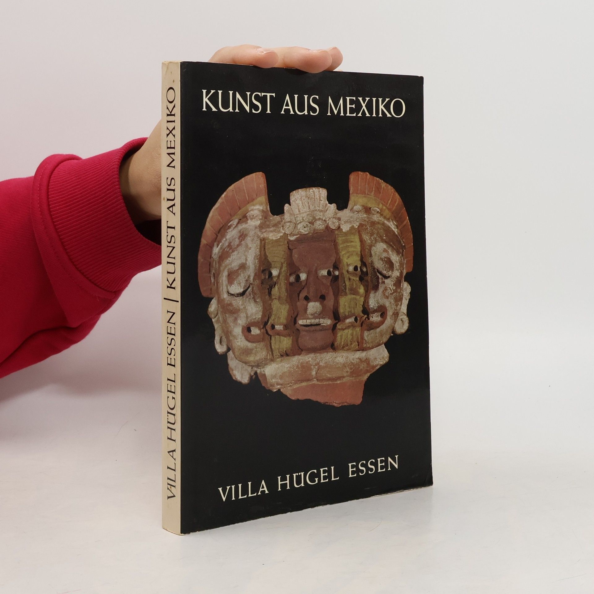 Kolektiv autorů Kunst aus Mexiko