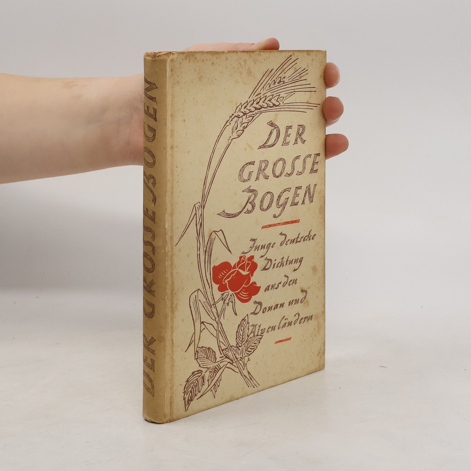 Erwin Herbert Rainalter Der Grosse Bogen