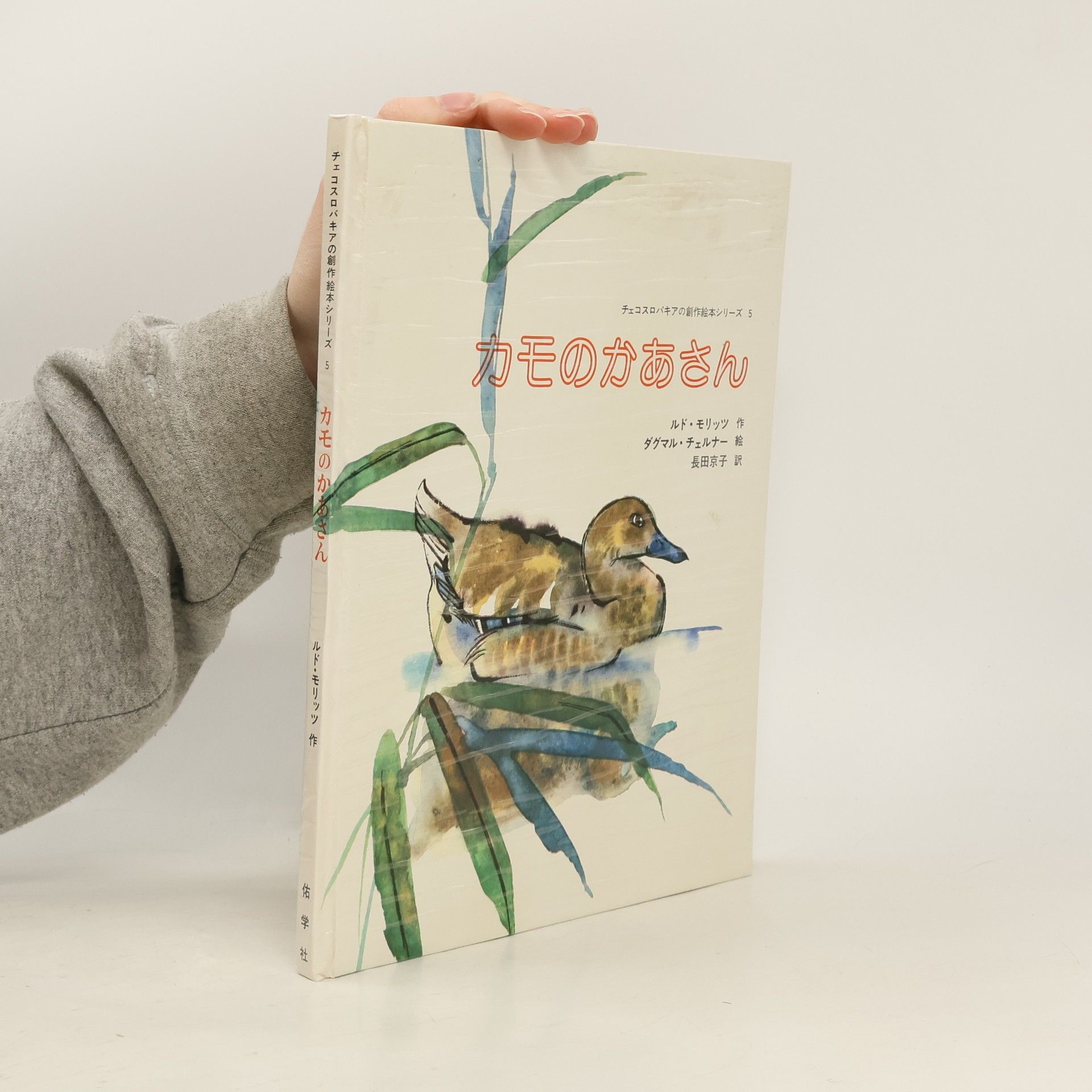 カモのかあさん