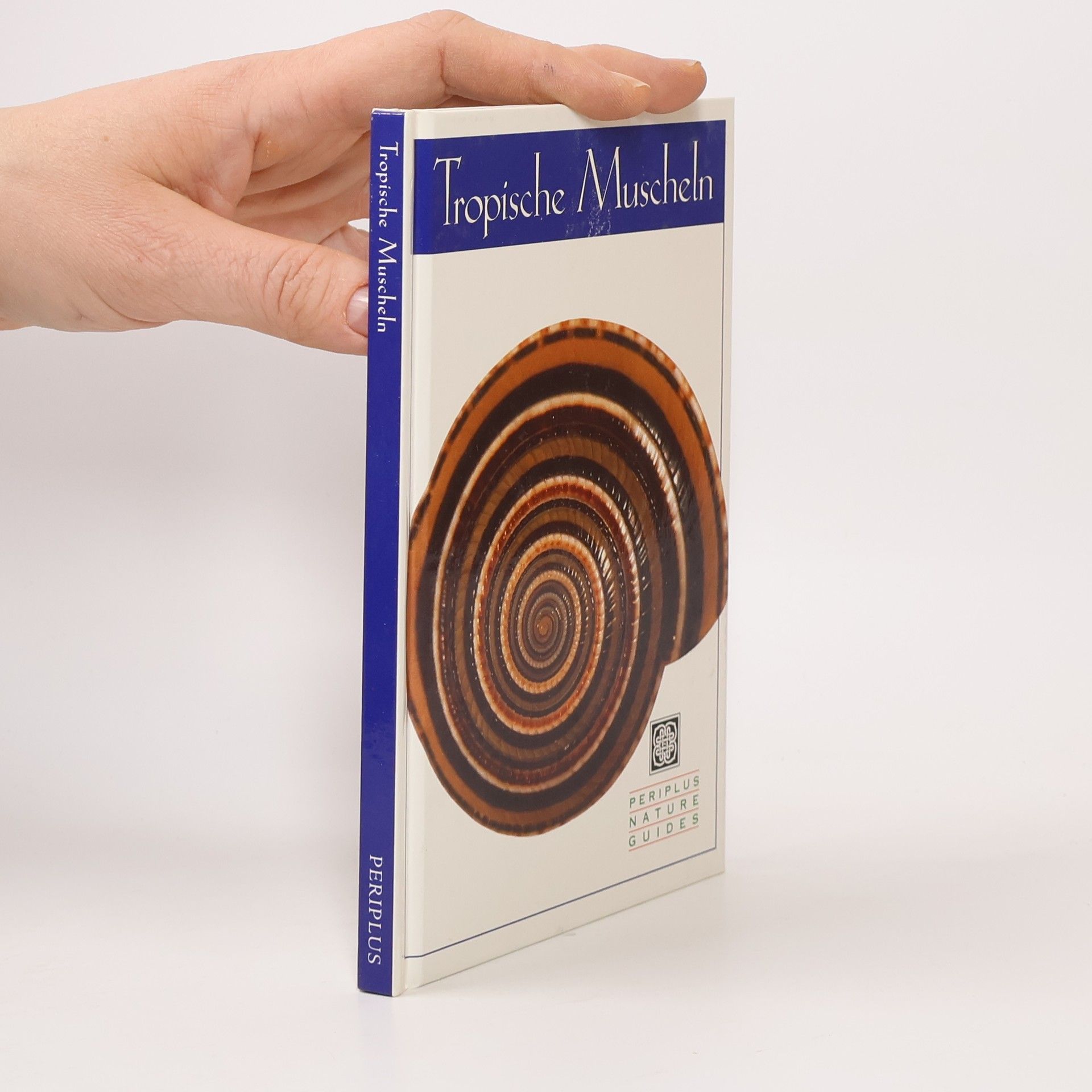 Pauline Fiene-Severns Tropische Muscheln.