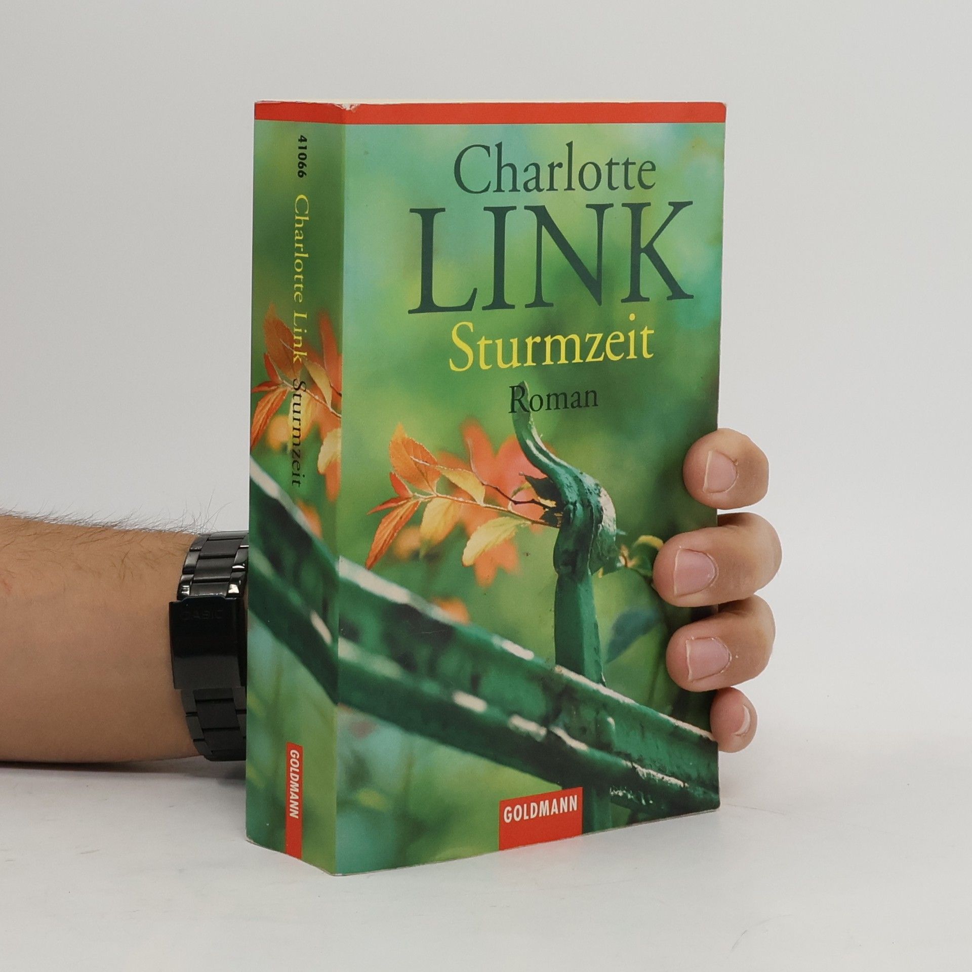 Charlotte Link Sturmzeit