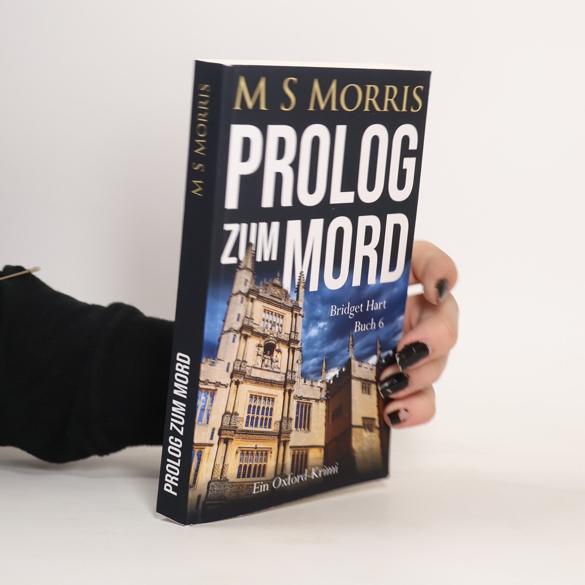 Die Bridget-Hart-Reihe - 6: Prolog zum Mord