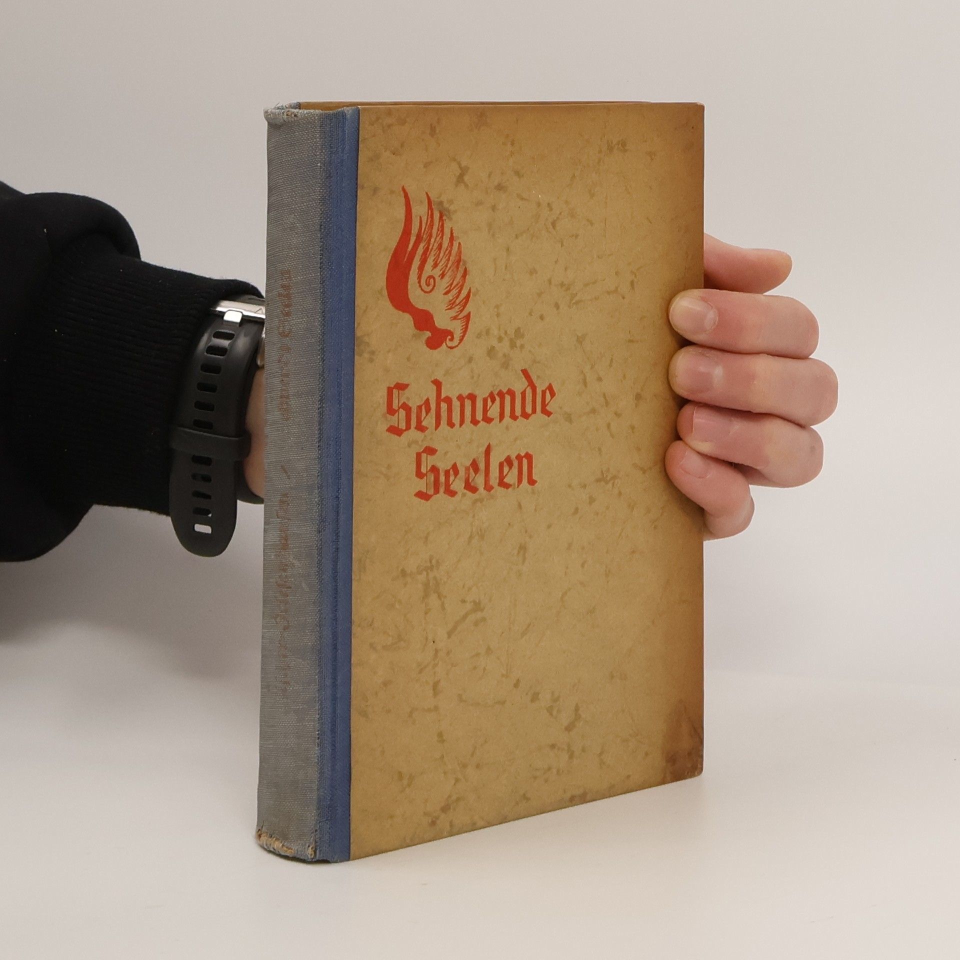 Fischer-Friesenhausen Sehnende Seelen