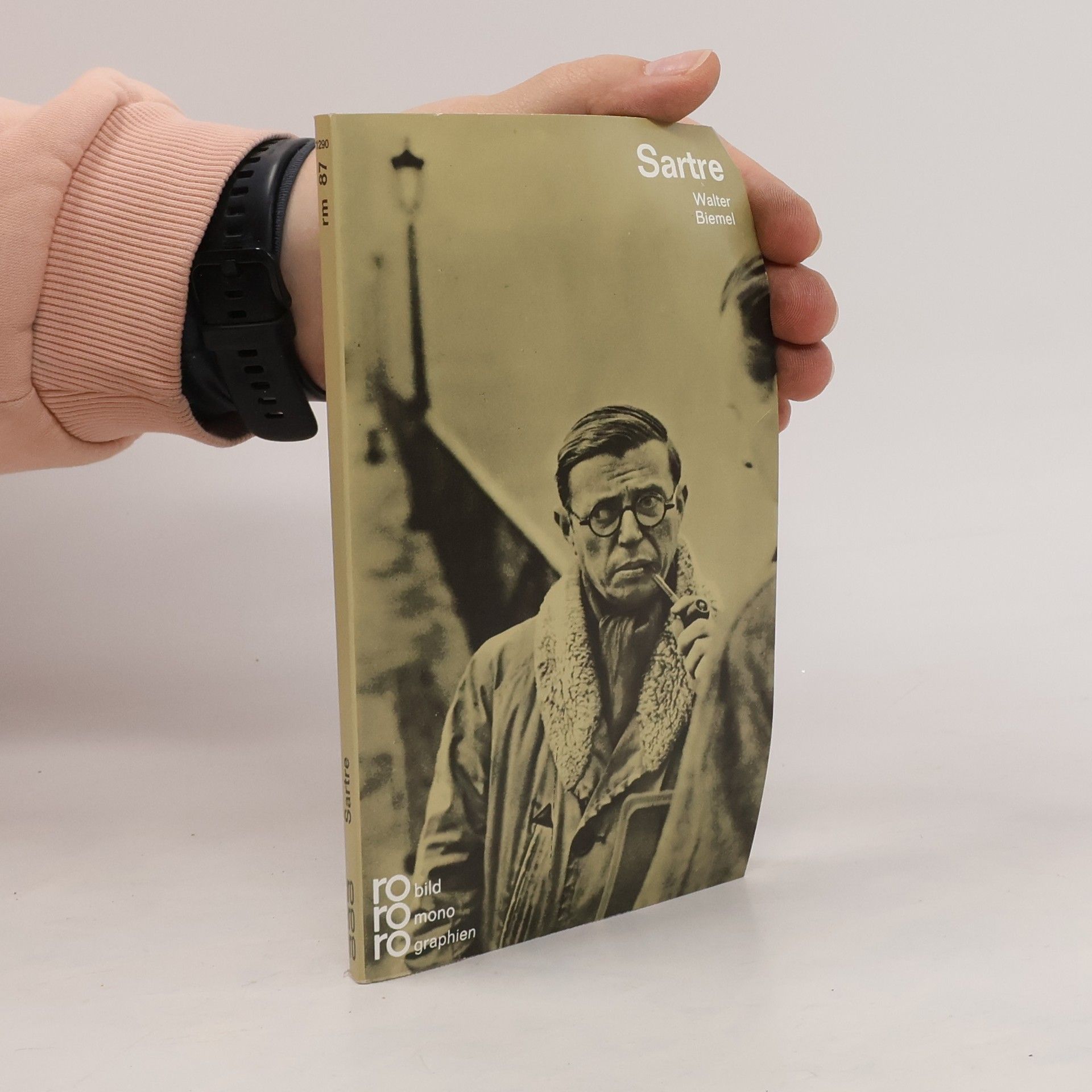 Walter Biemel Sartre