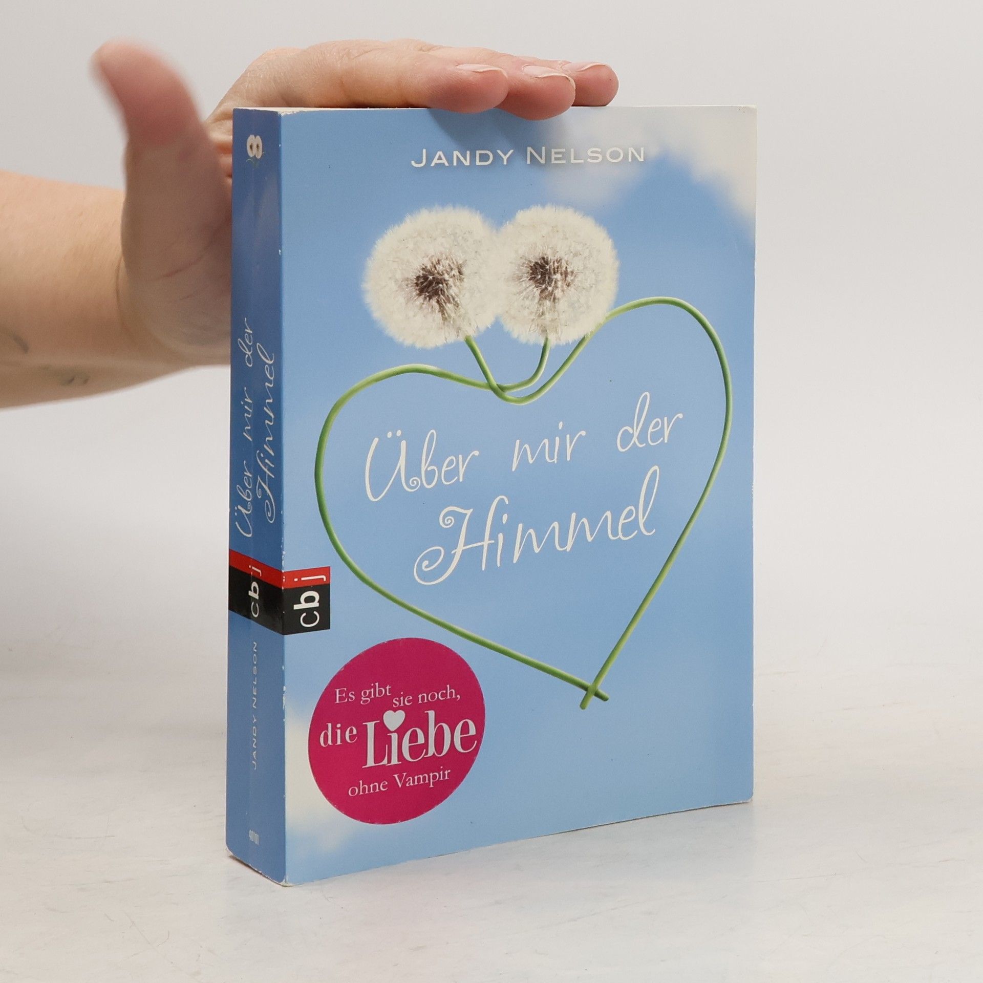 Jandy Nelson Über mir der Himmel