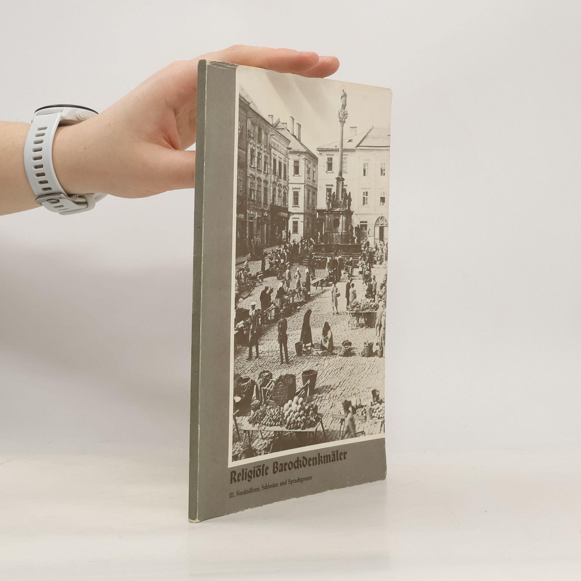 Religiöse Barockdenkmäler III. Nordmähren und Schlesien