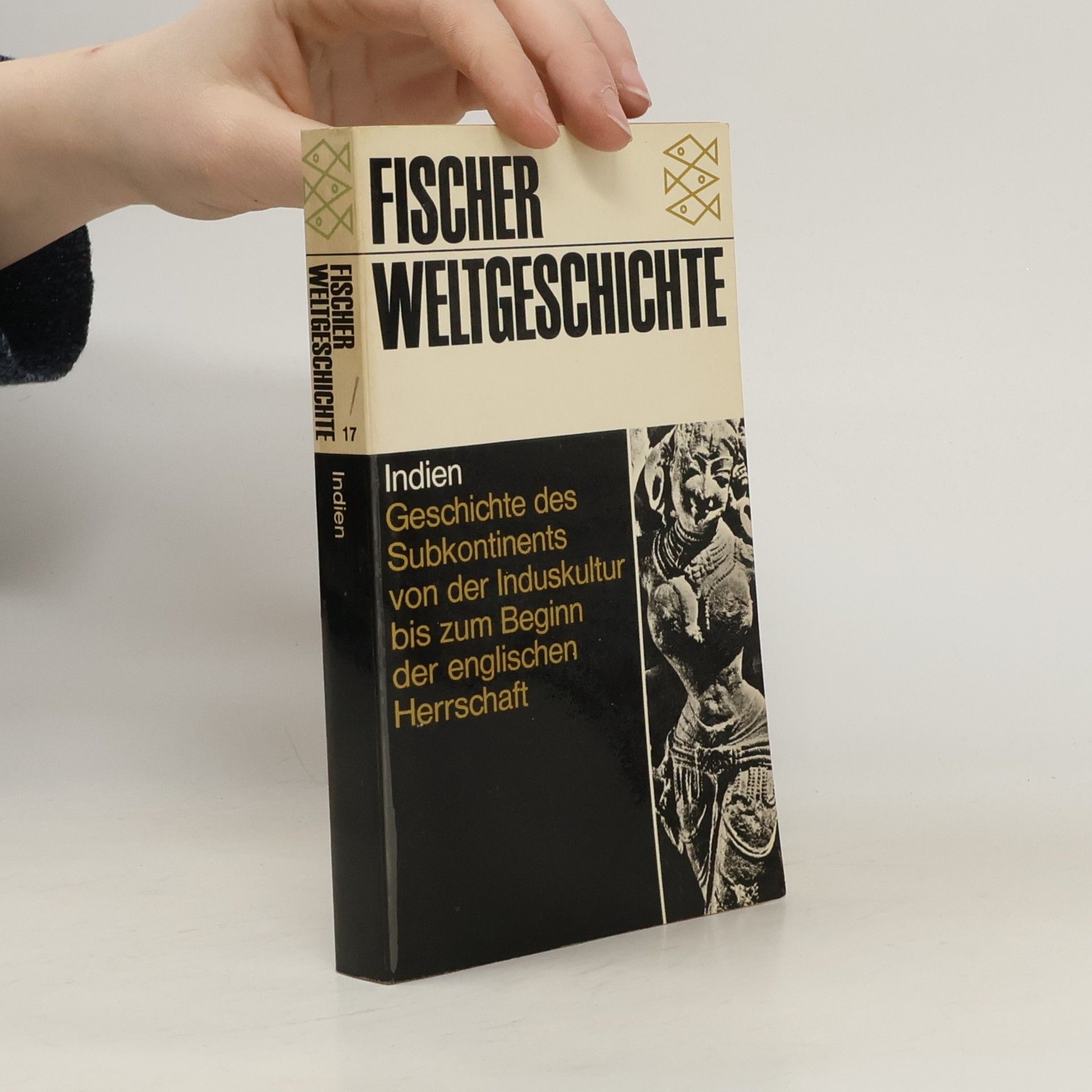 kolektiv Fischer Weltgeschichte 17. Indien