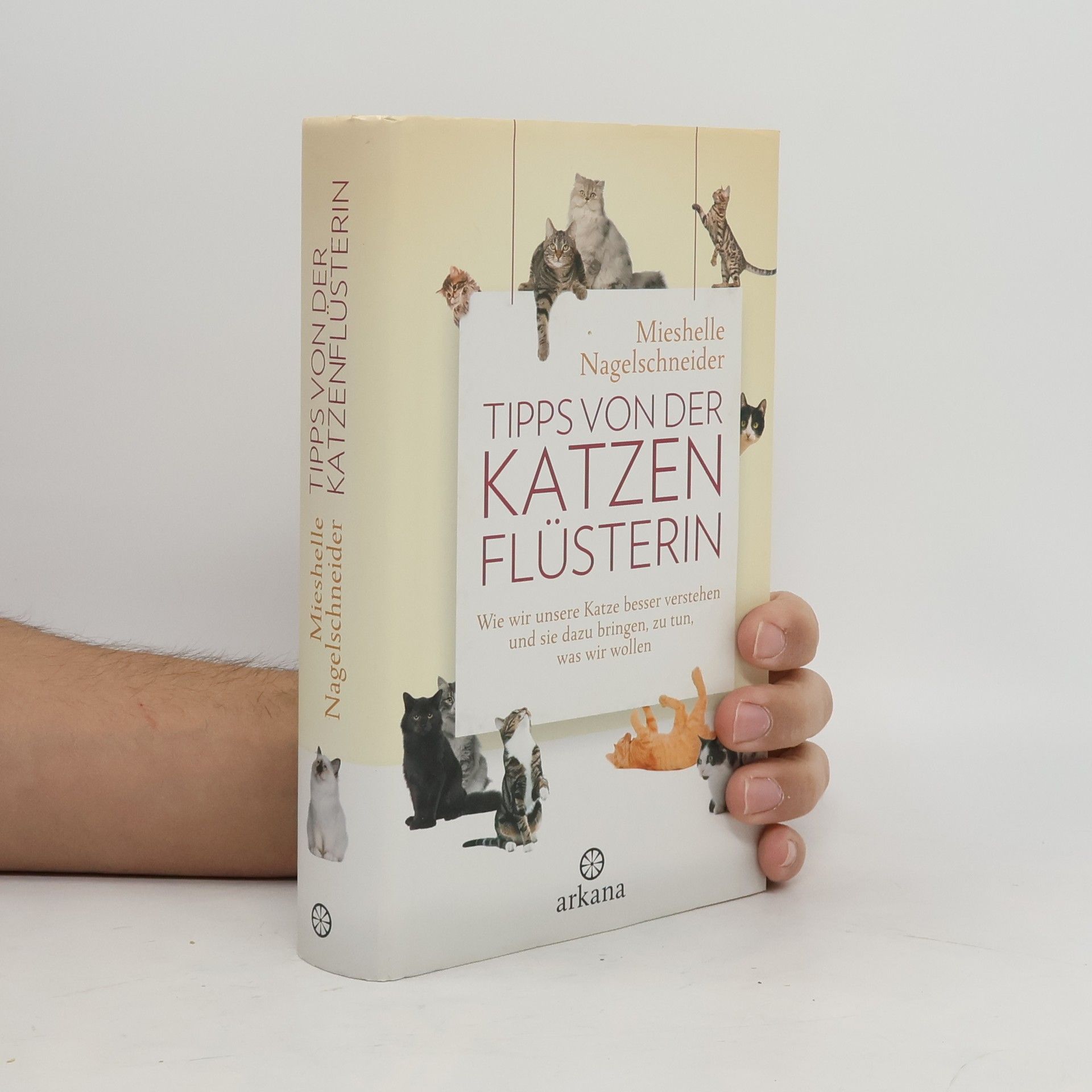 Mieshelle Nagelschneider Tipps von der Katzenflüsterin