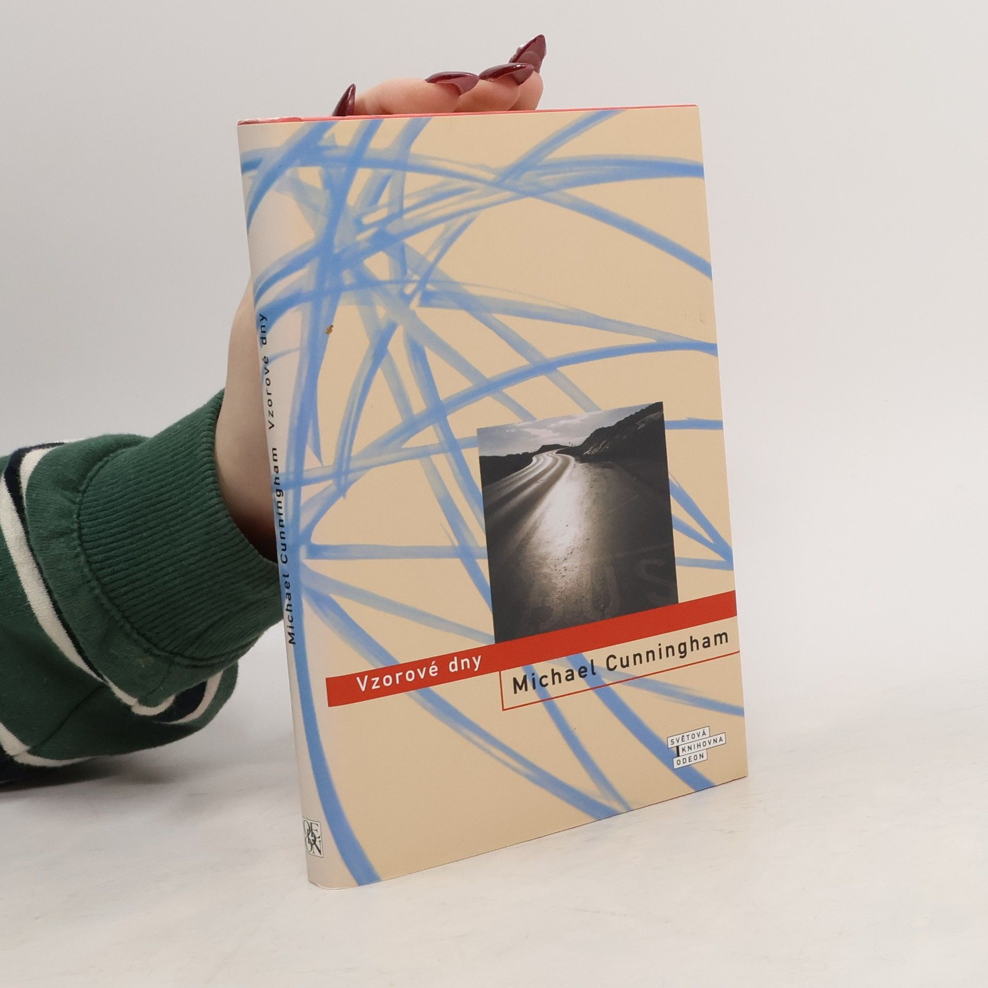 Michael Cunningham Vzorové dny