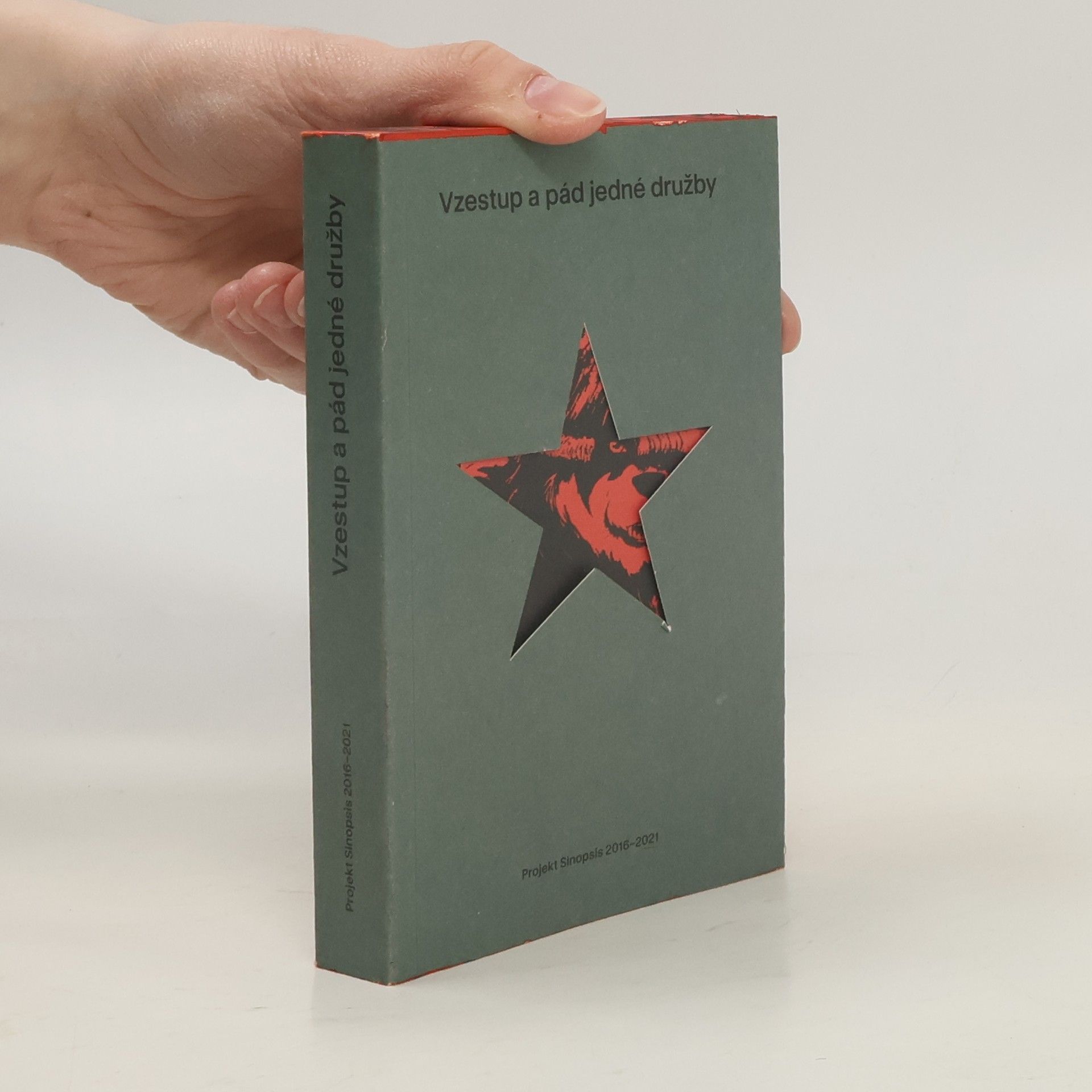 Autores varios Vzestup a pád jedné družby