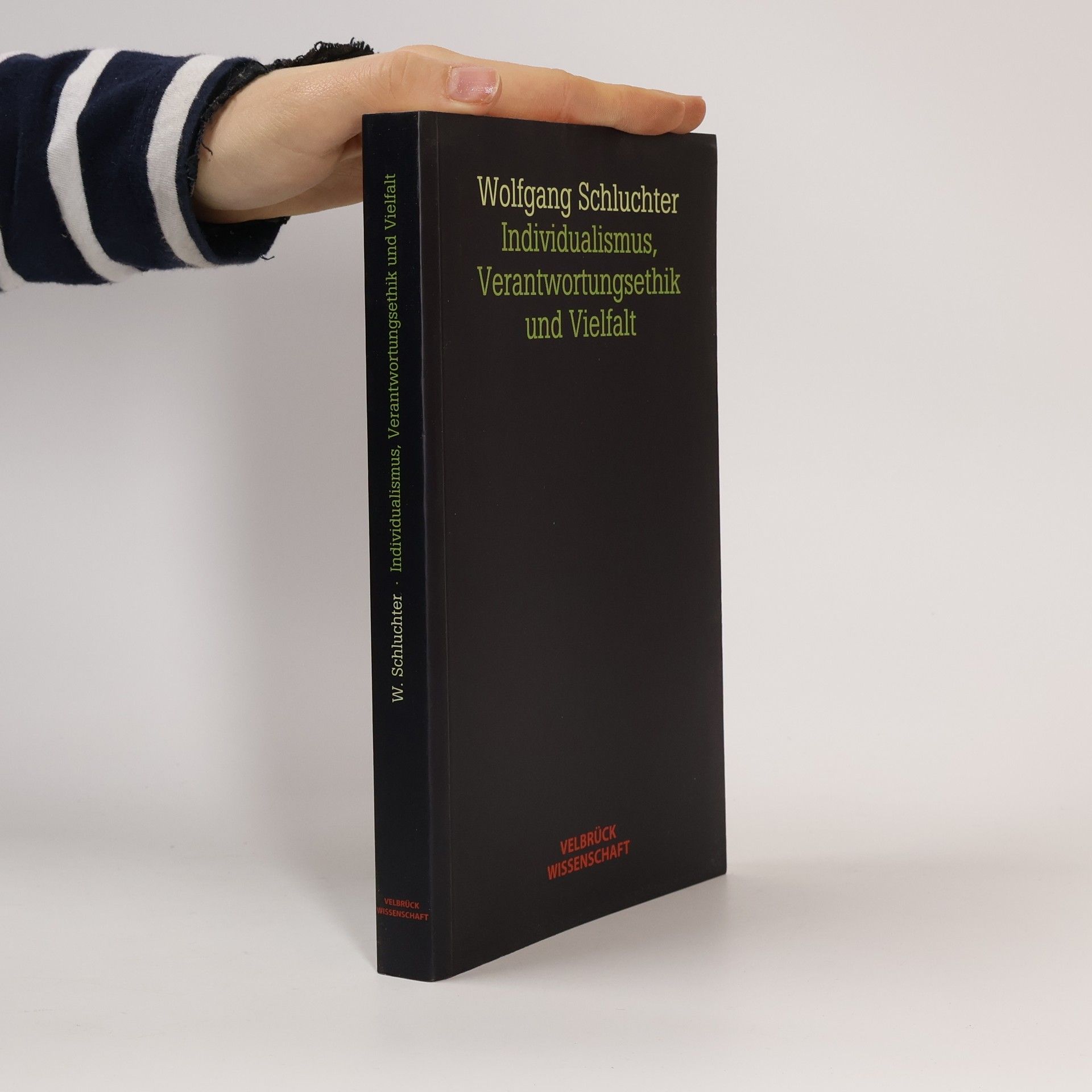 Wolfgang Schluchter Individualismus, Verantwortungsethik und Vielfalt