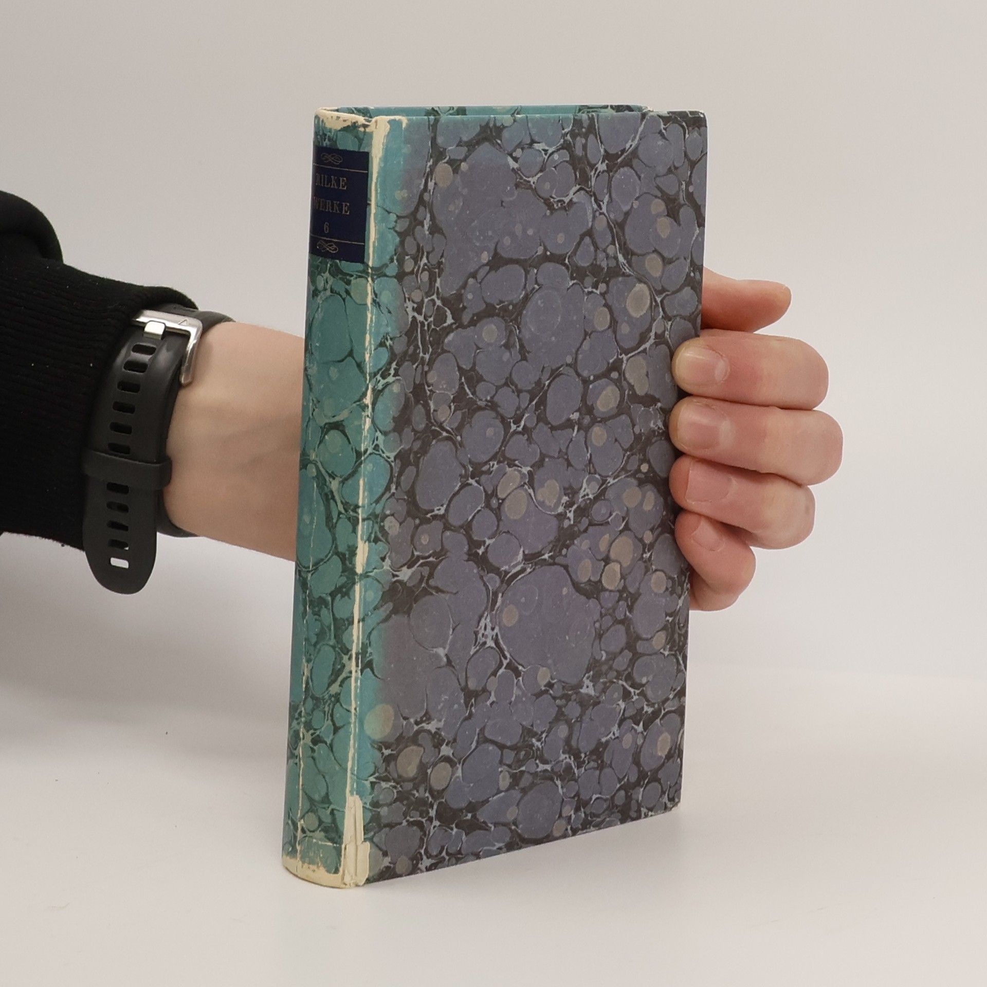 Rainer Maria Rilke Werke III/2