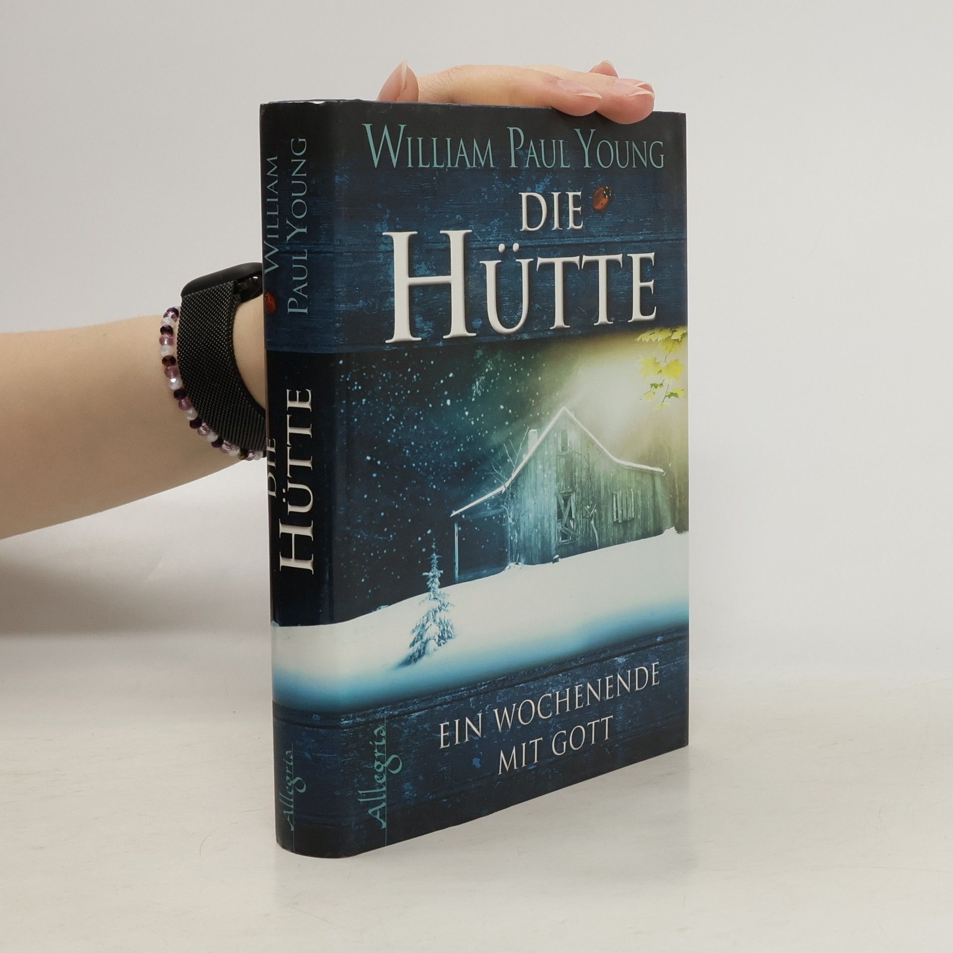 William Paul Young Die Hütte
