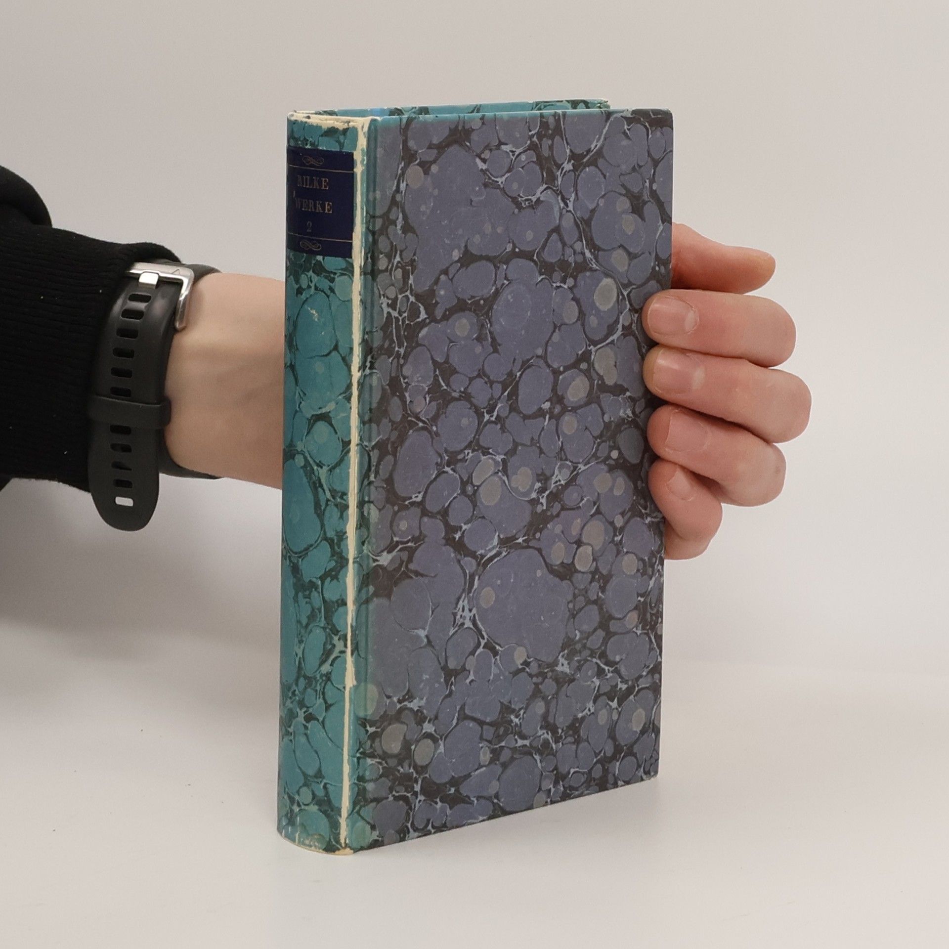 Rainer Maria Rilke Werke I/2