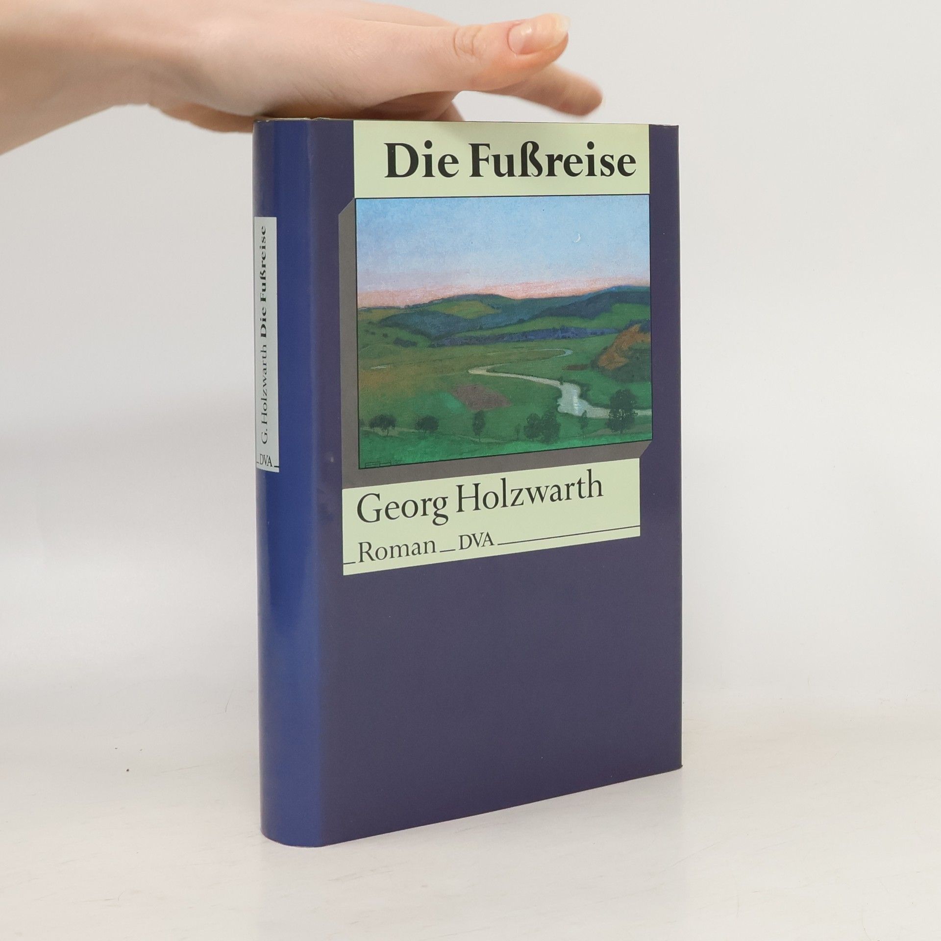 Georg Holzwarth Die Fussreise