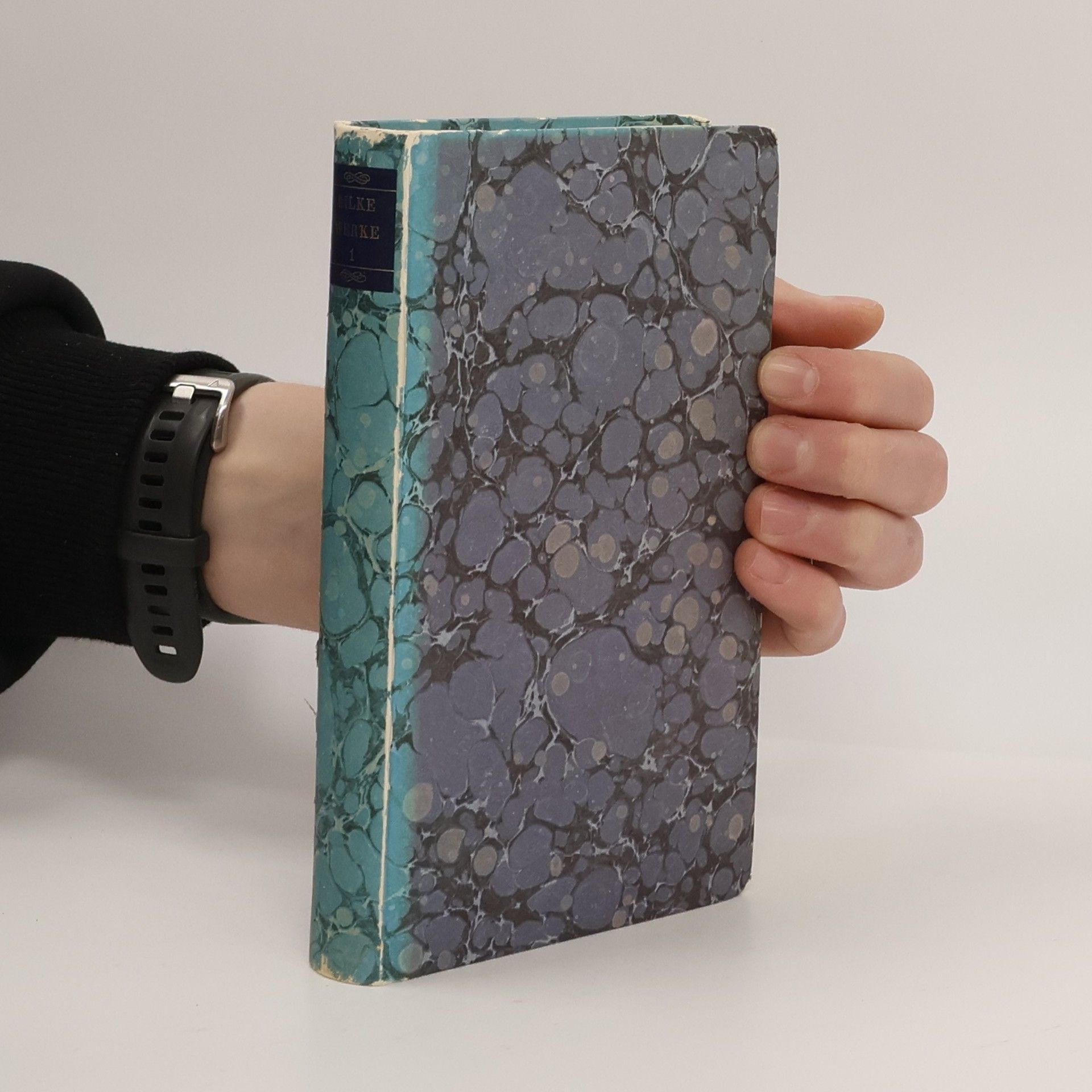 Rainer Maria Rilke Werke