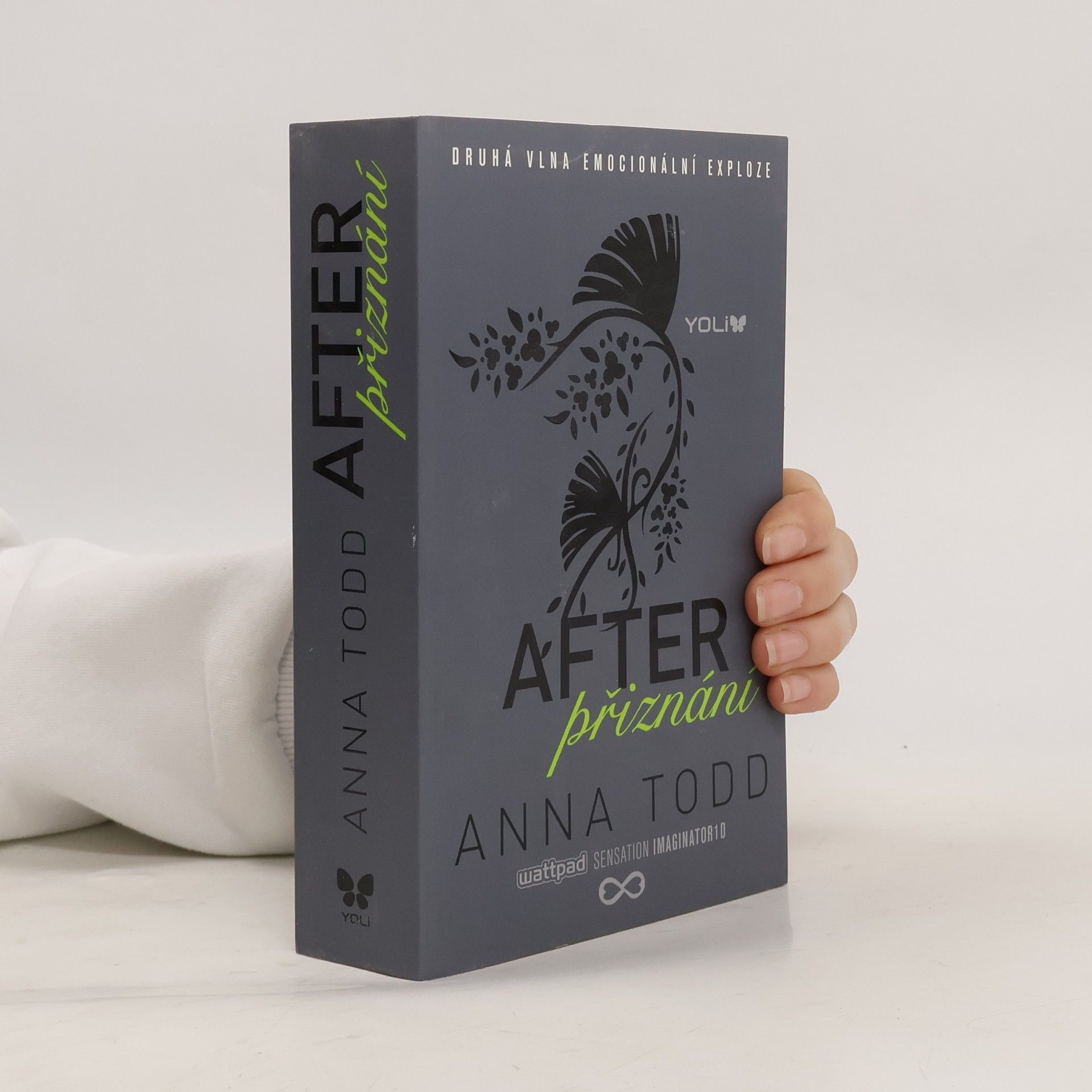 Anna Todd After. Přiznání