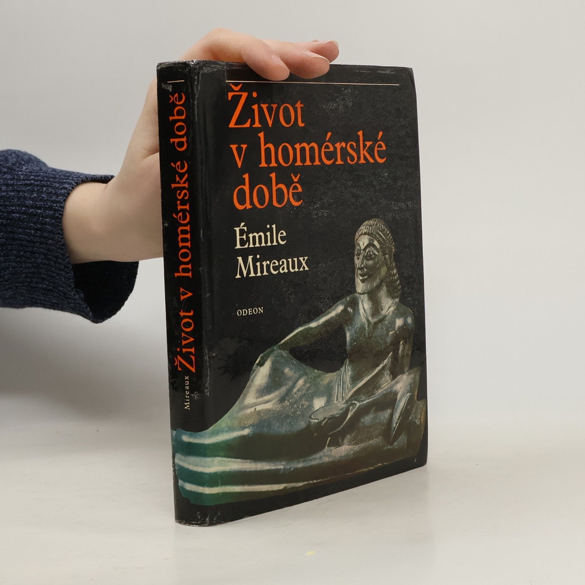 Život v homérské době