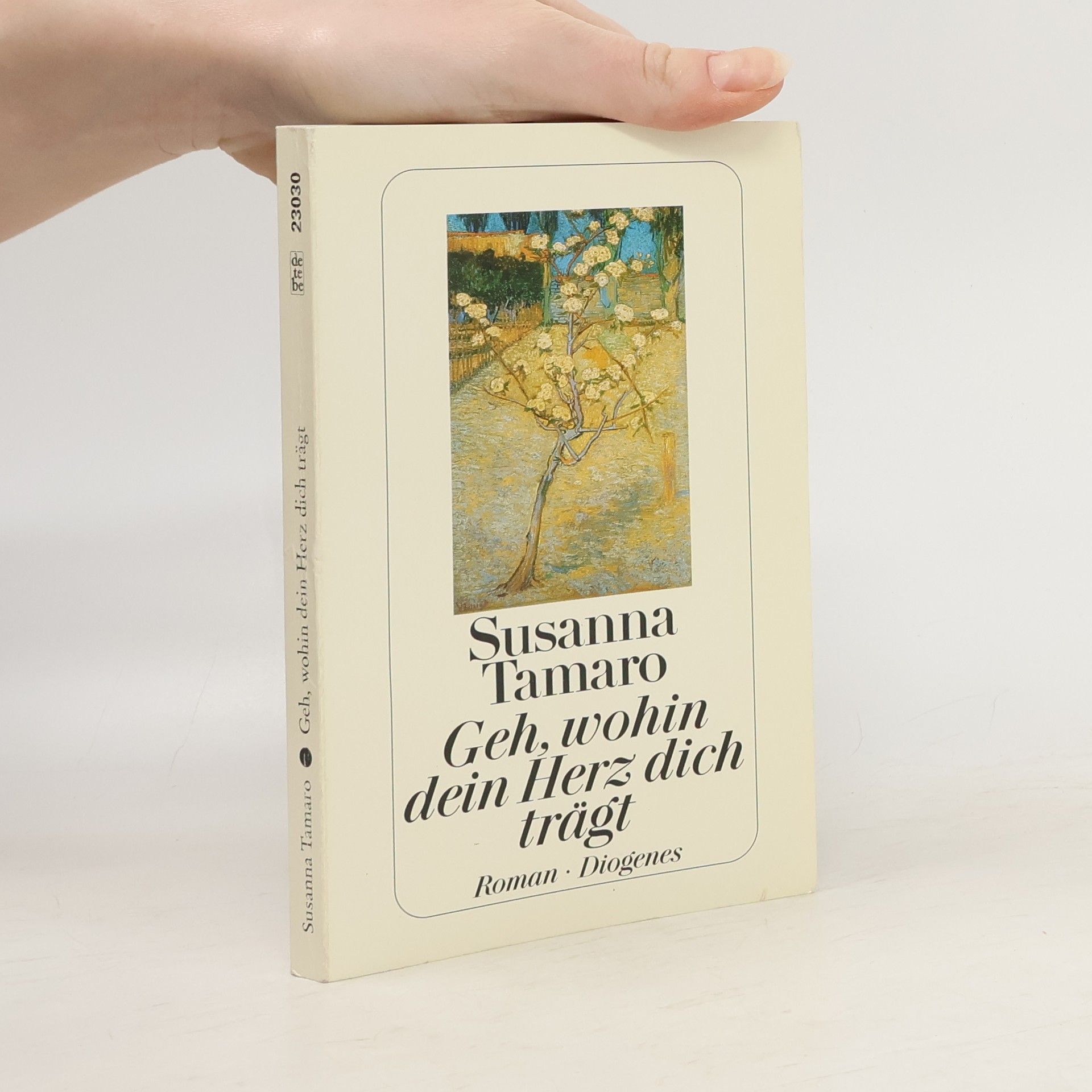 Susanna Tamaro Geh, wohin dein Herz dich trägt