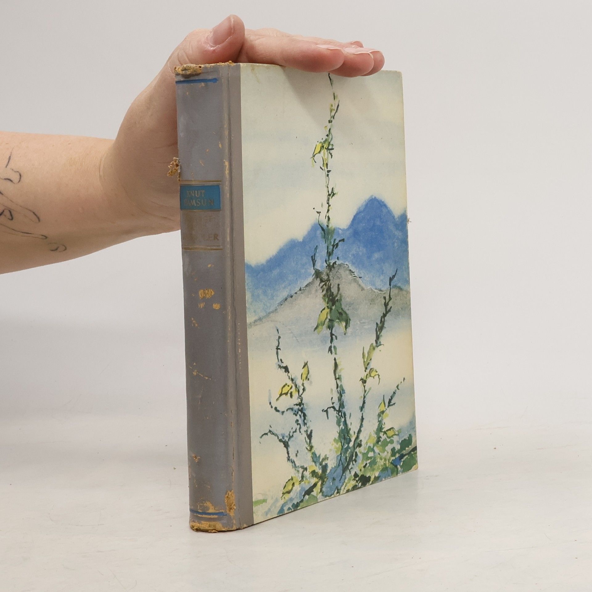 Knut Hamsun August Weltumsegler